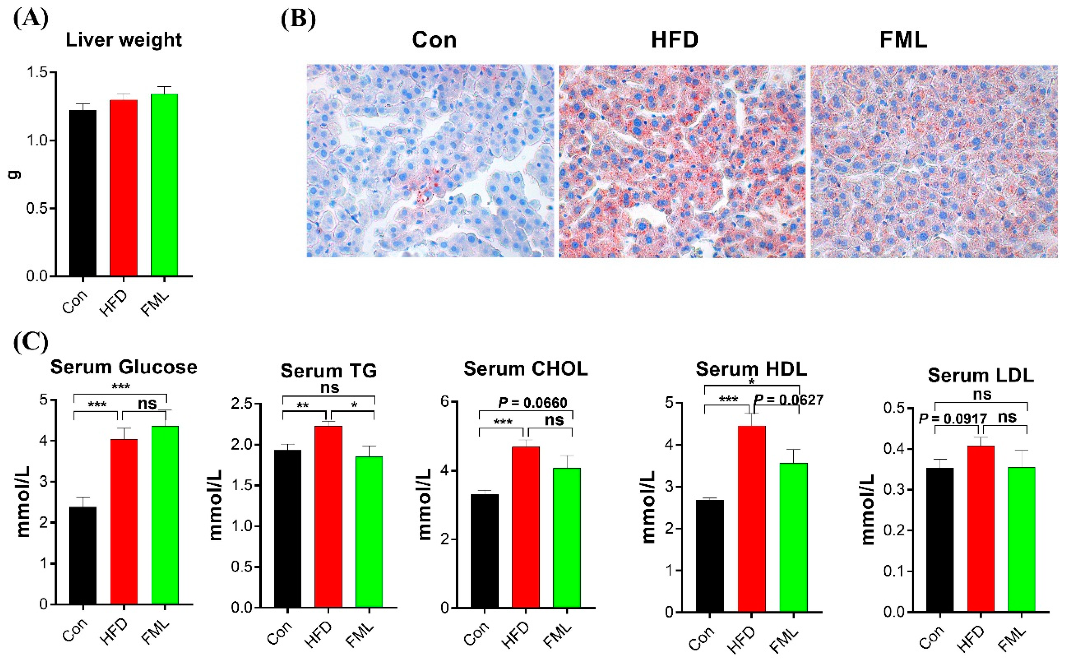 Microorganisms 08 00860 g002 Microorganisms 08 00860 g002