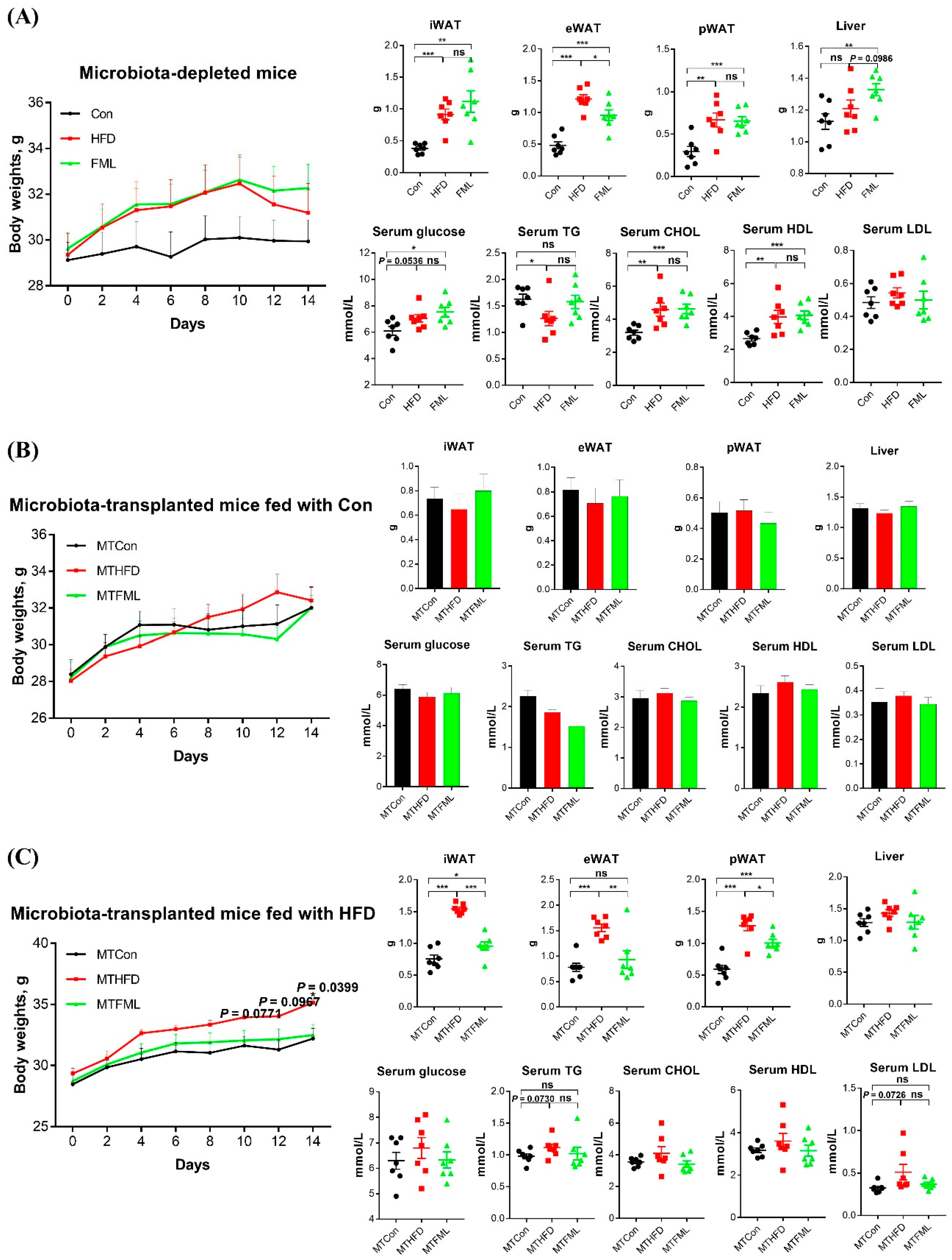 Microorganisms 08 00860 g006 Microorganisms 08 00860 g006
