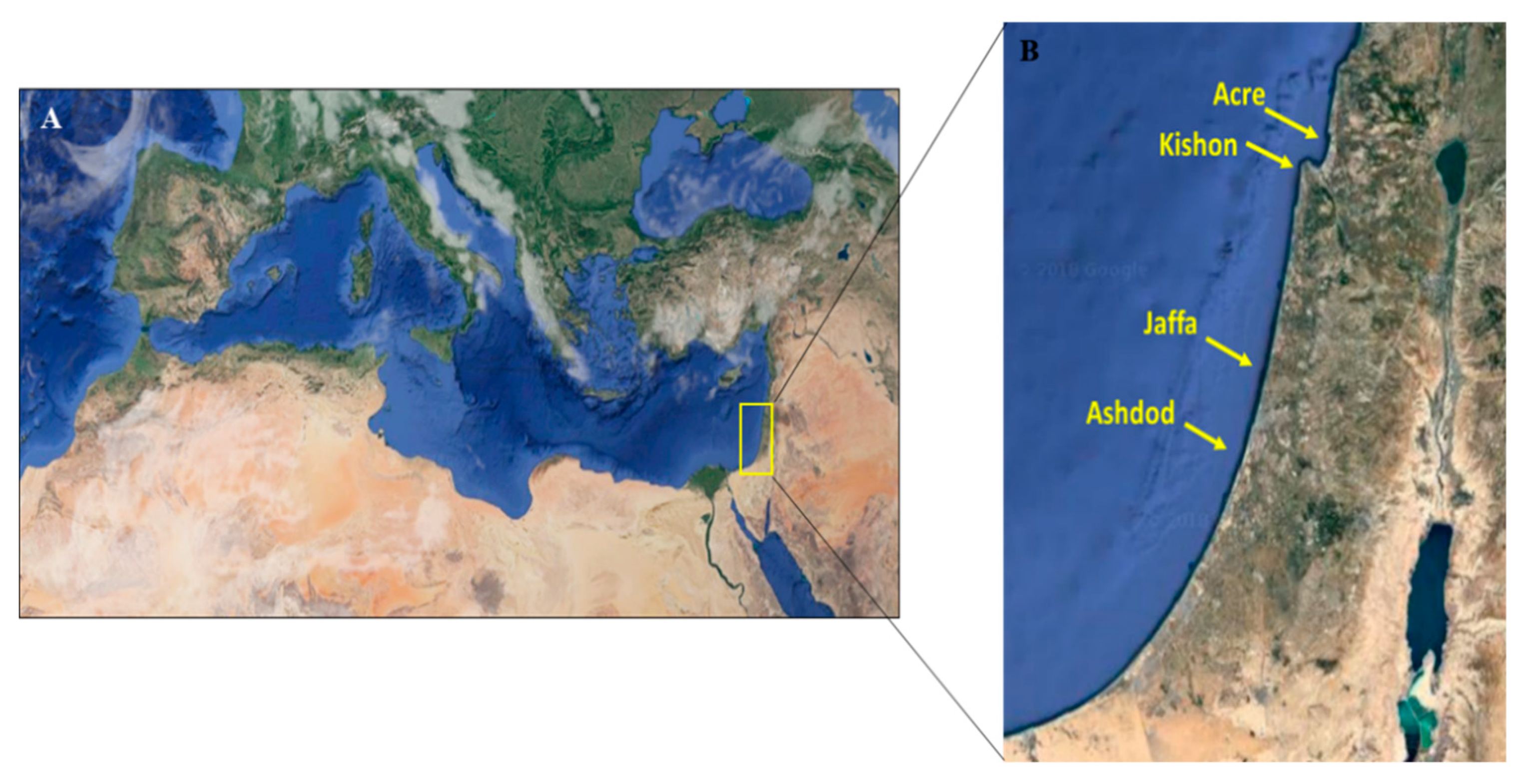 Microorganisms 08 00863 g001
