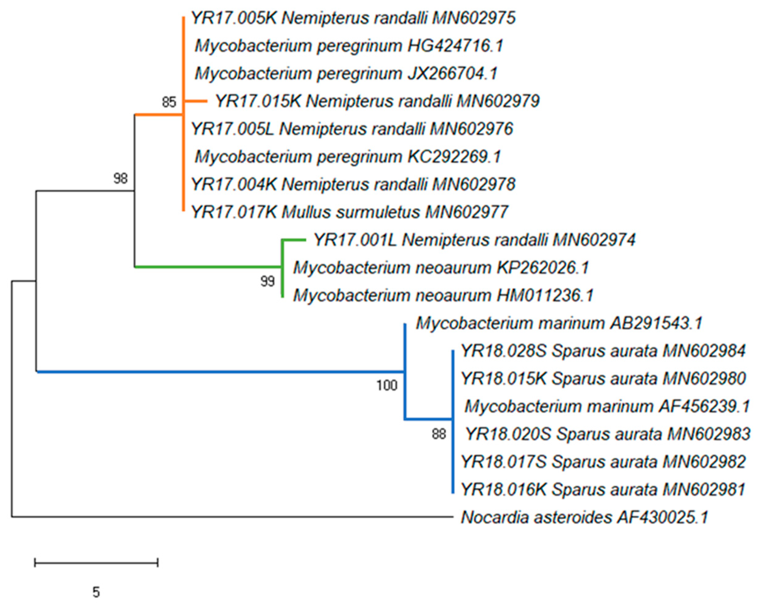 Microorganisms 08 00863 g004
