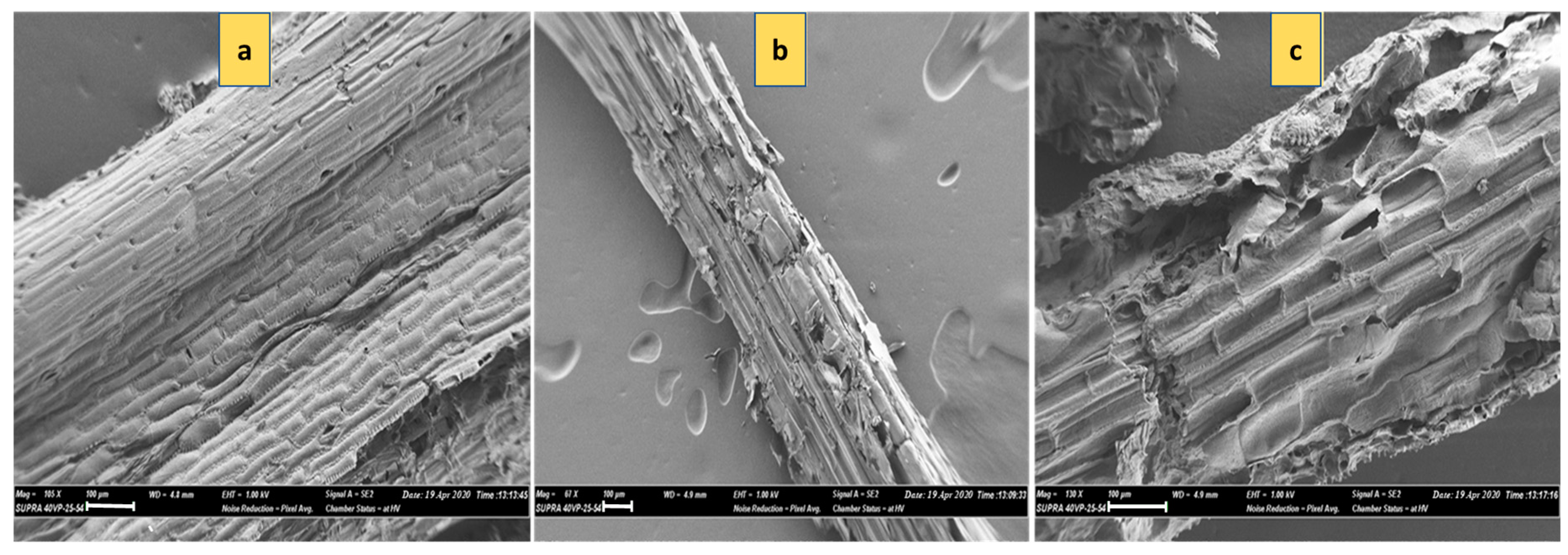 Microorganisms 08 00871 g006