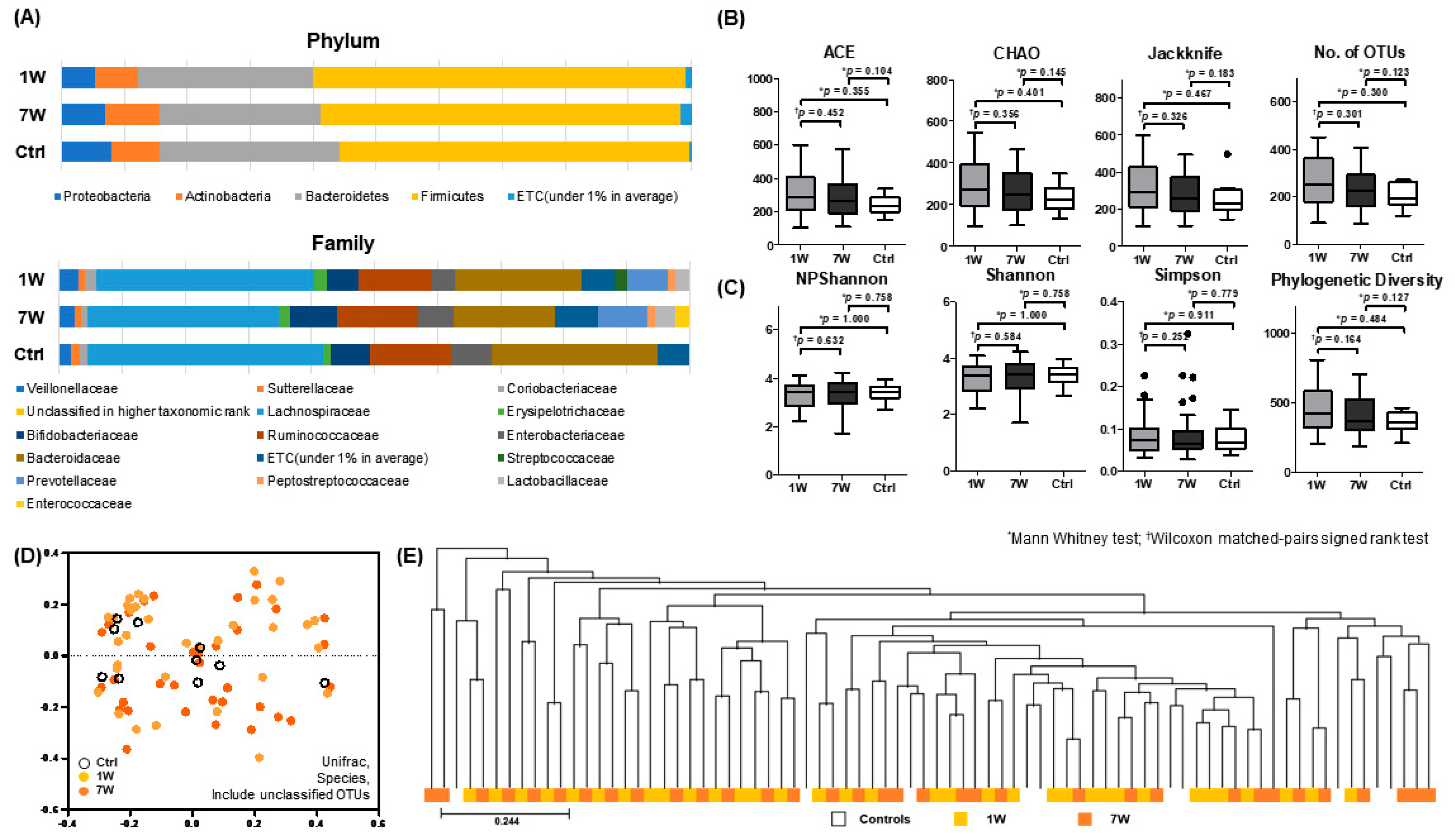 Microorganisms 08 00874 g003 Microorganisms 08 00874 g003