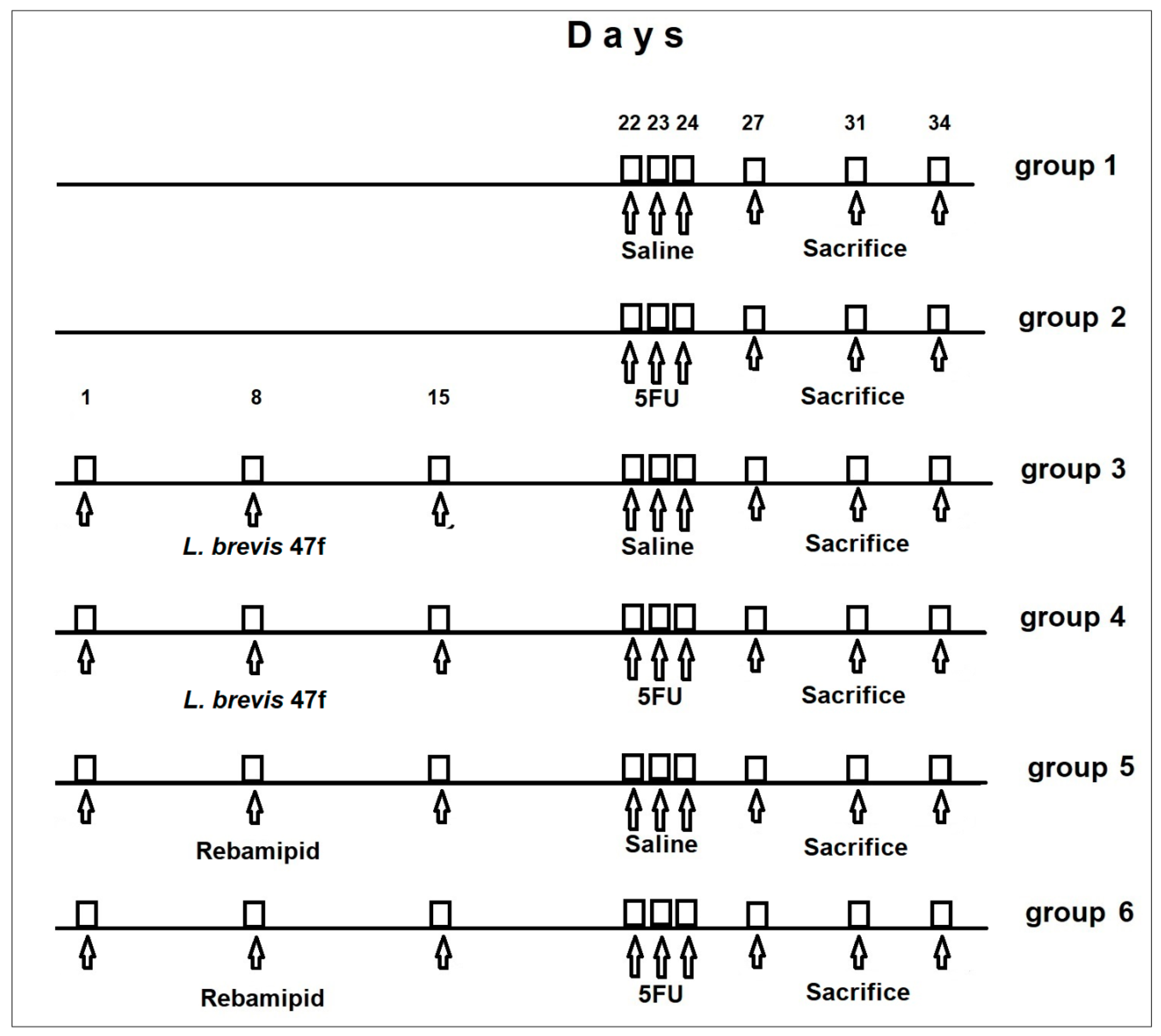 Microorganisms 08 00876 g001 Microorganisms 08 00876 g001