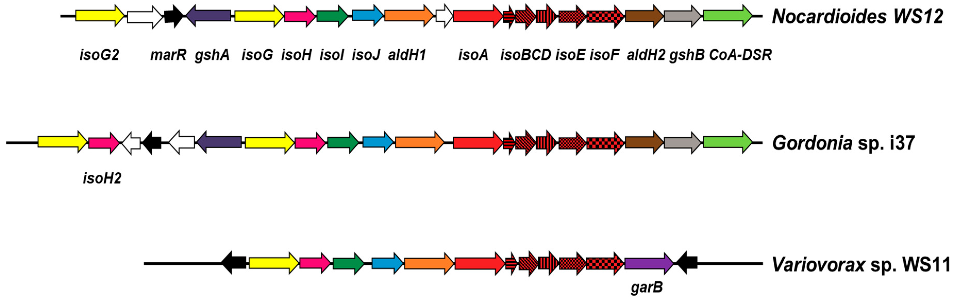 Microorganisms 08 00889 g001 Microorganisms 08 00889 g001