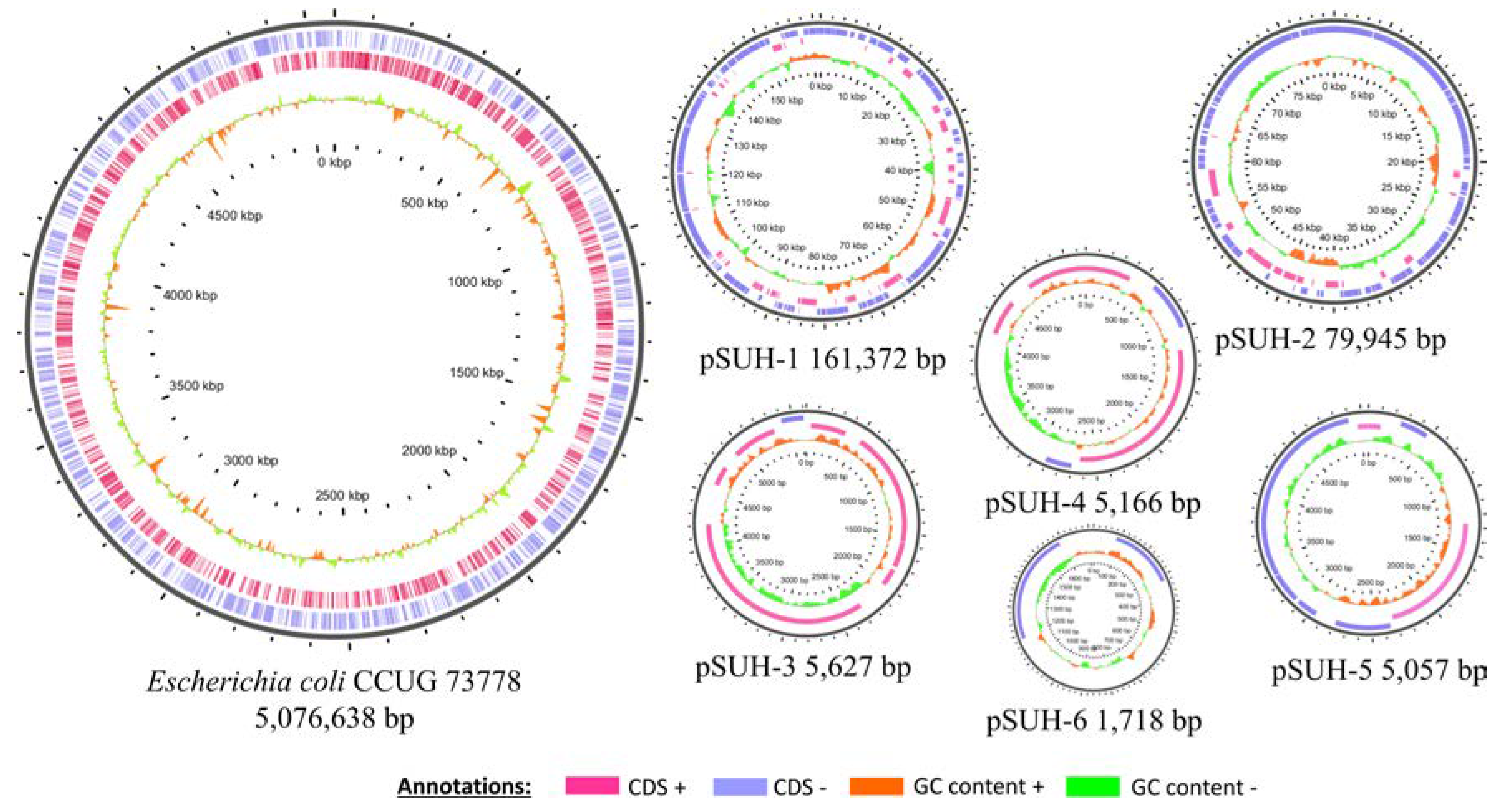 Microorganisms 08 00893 g001 Microorganisms 08 00893 g001