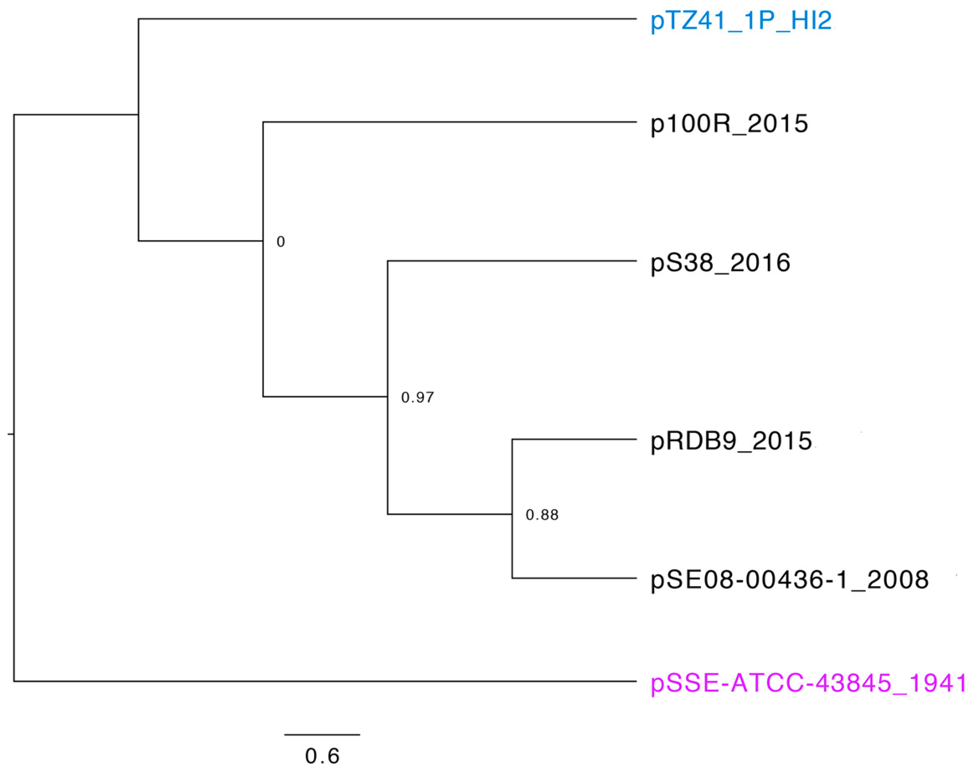 Microorganisms 08 00896 g004