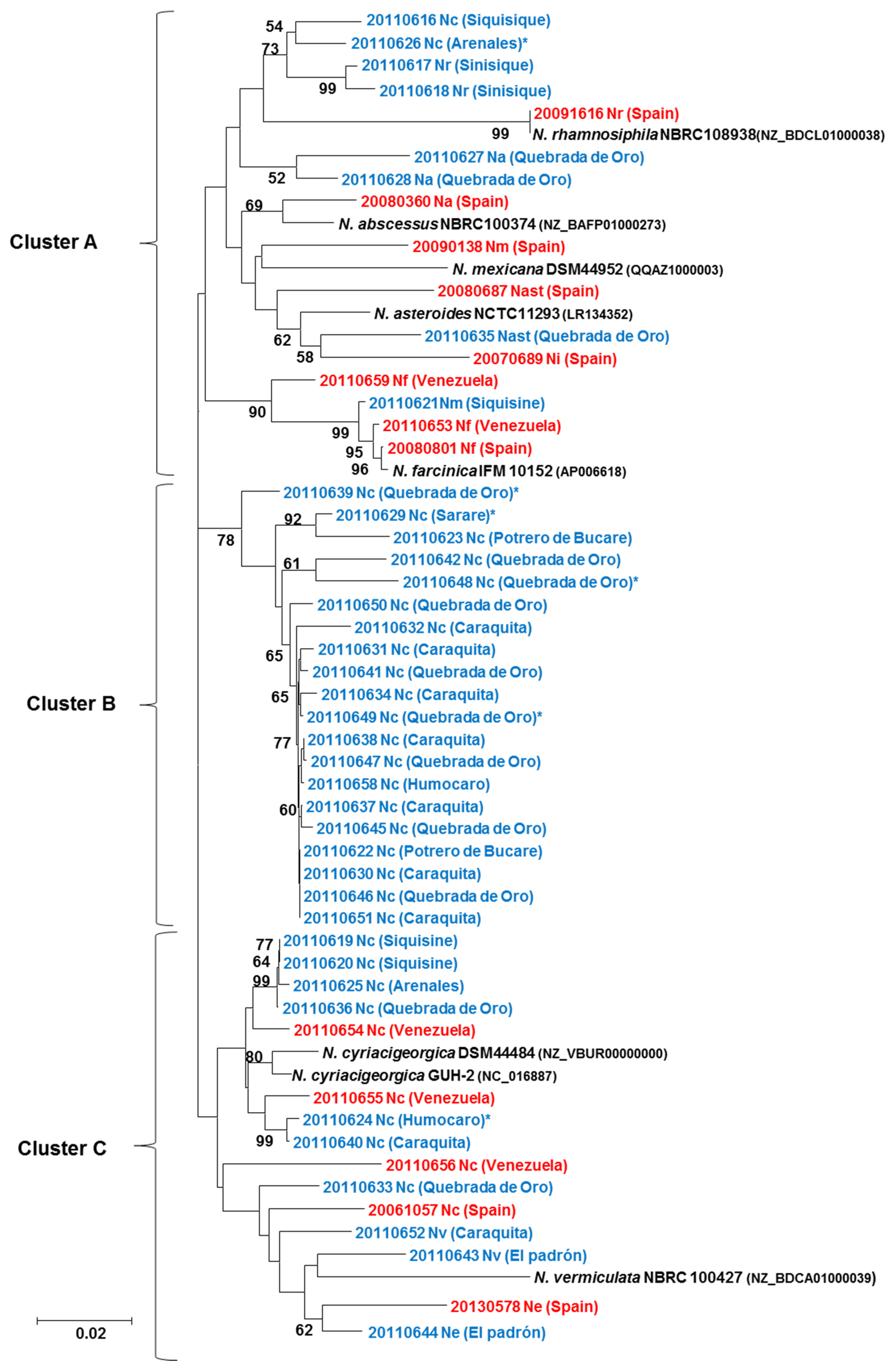Microorganisms 08 00900 g002