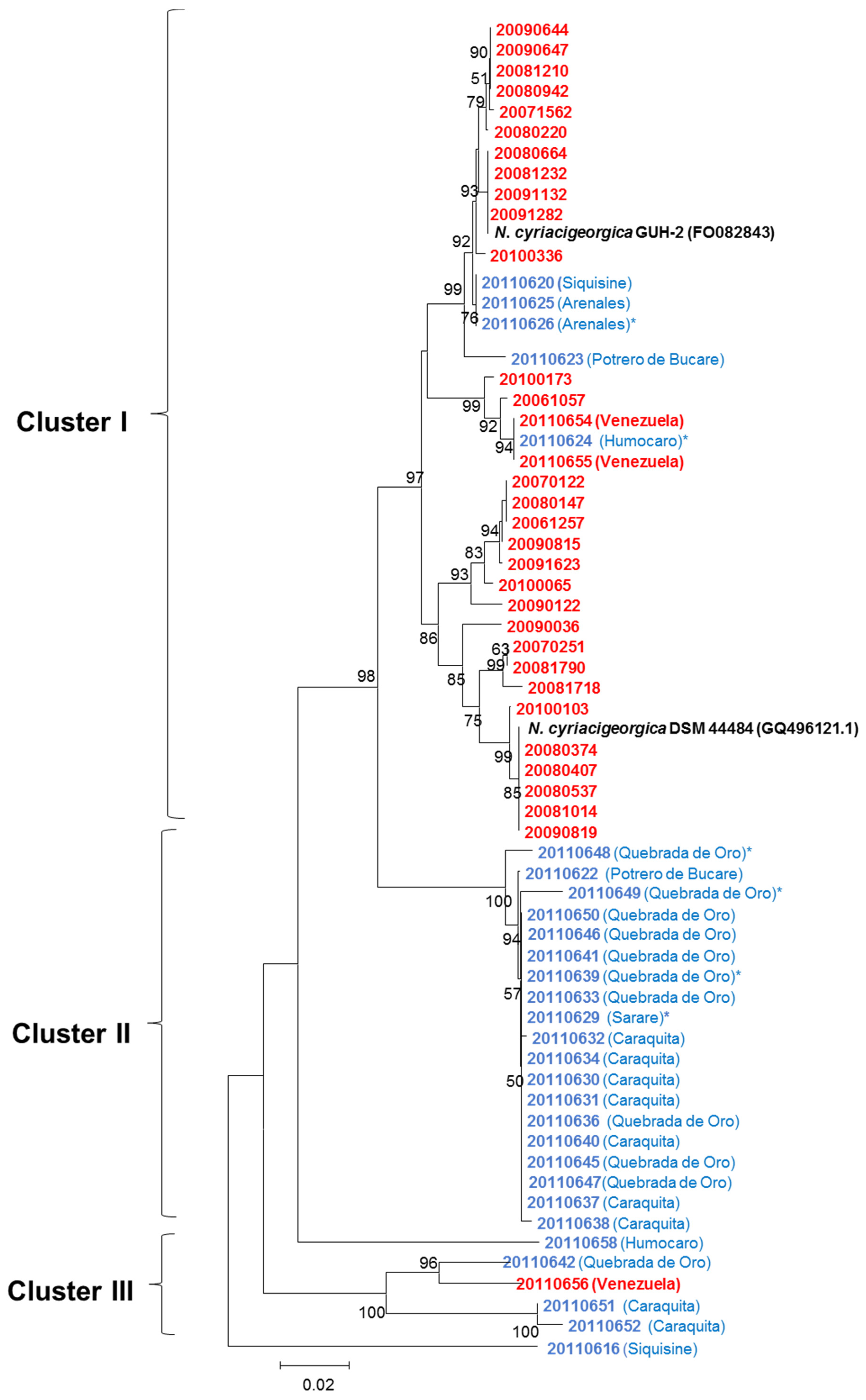 Microorganisms 08 00900 g003