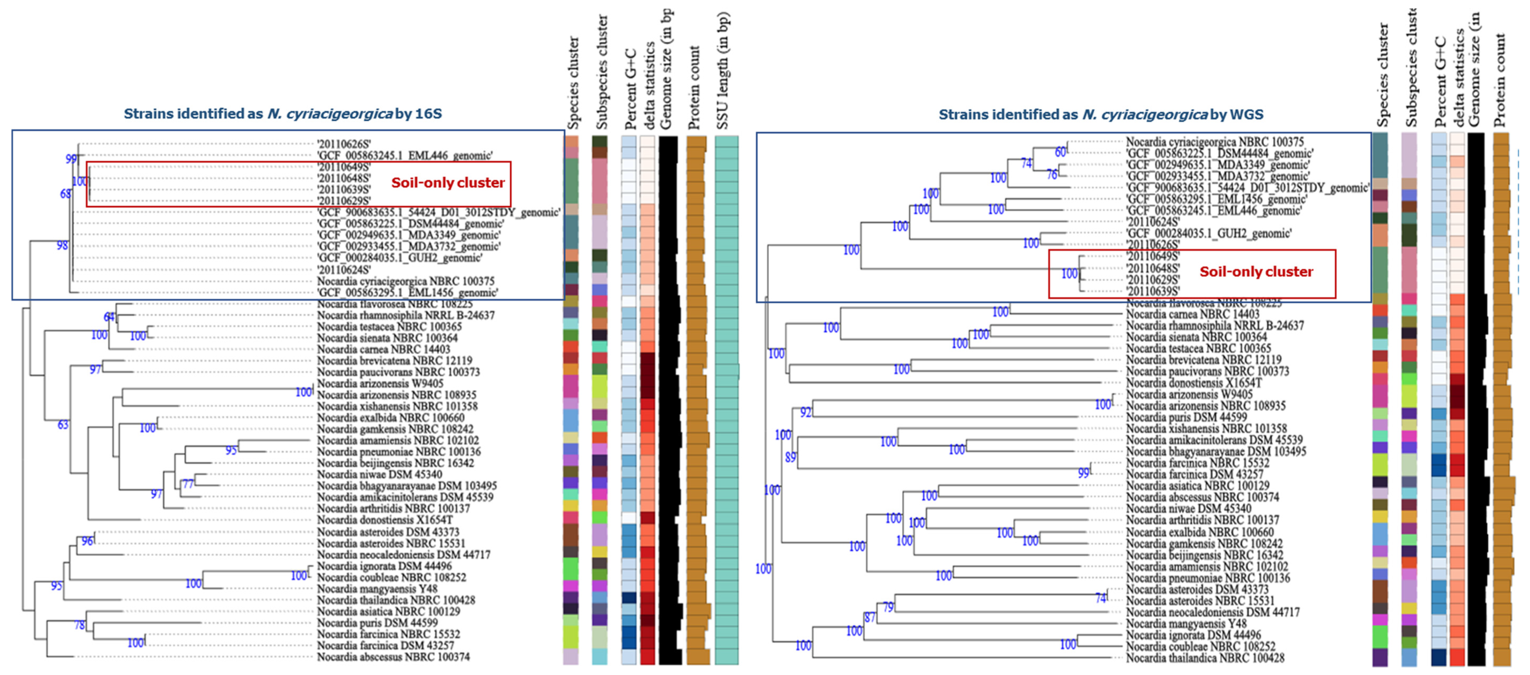 Microorganisms 08 00900 g004
