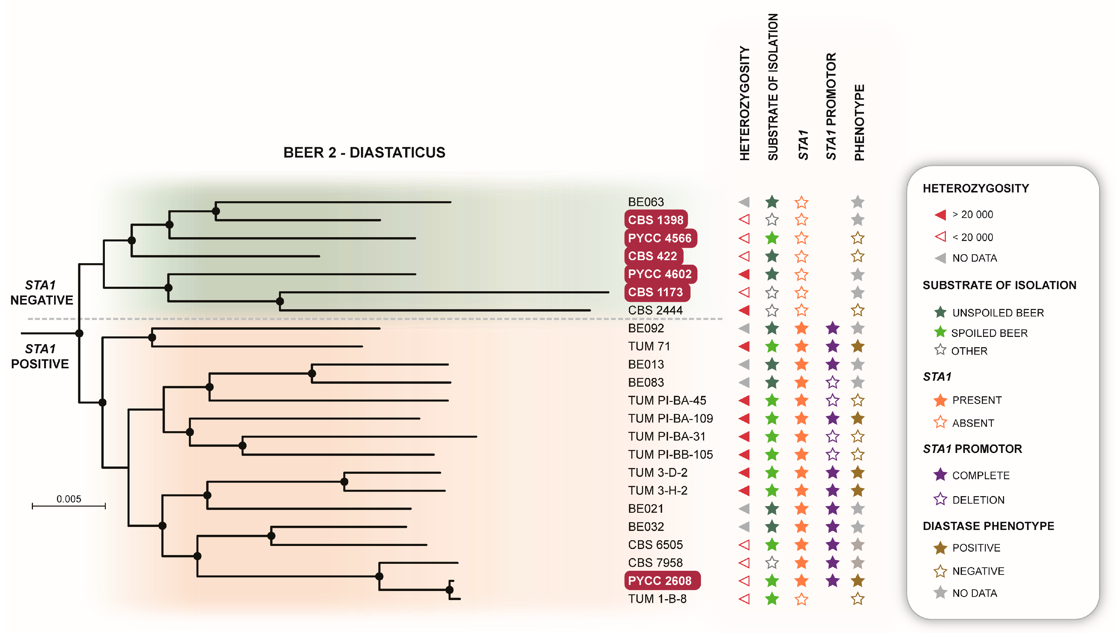 Microorganisms 08 00903 g002