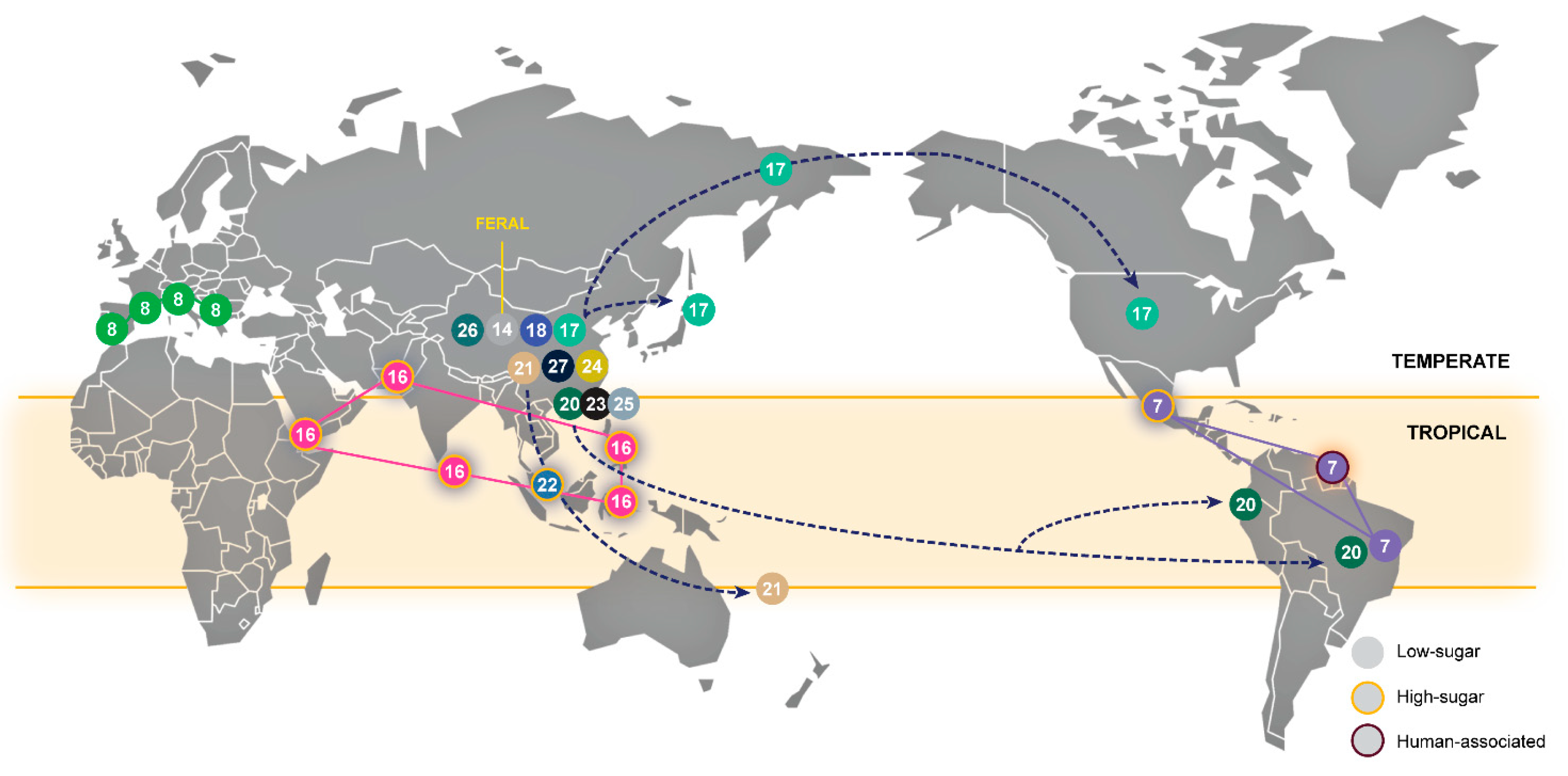 Microorganisms 08 00903 g003