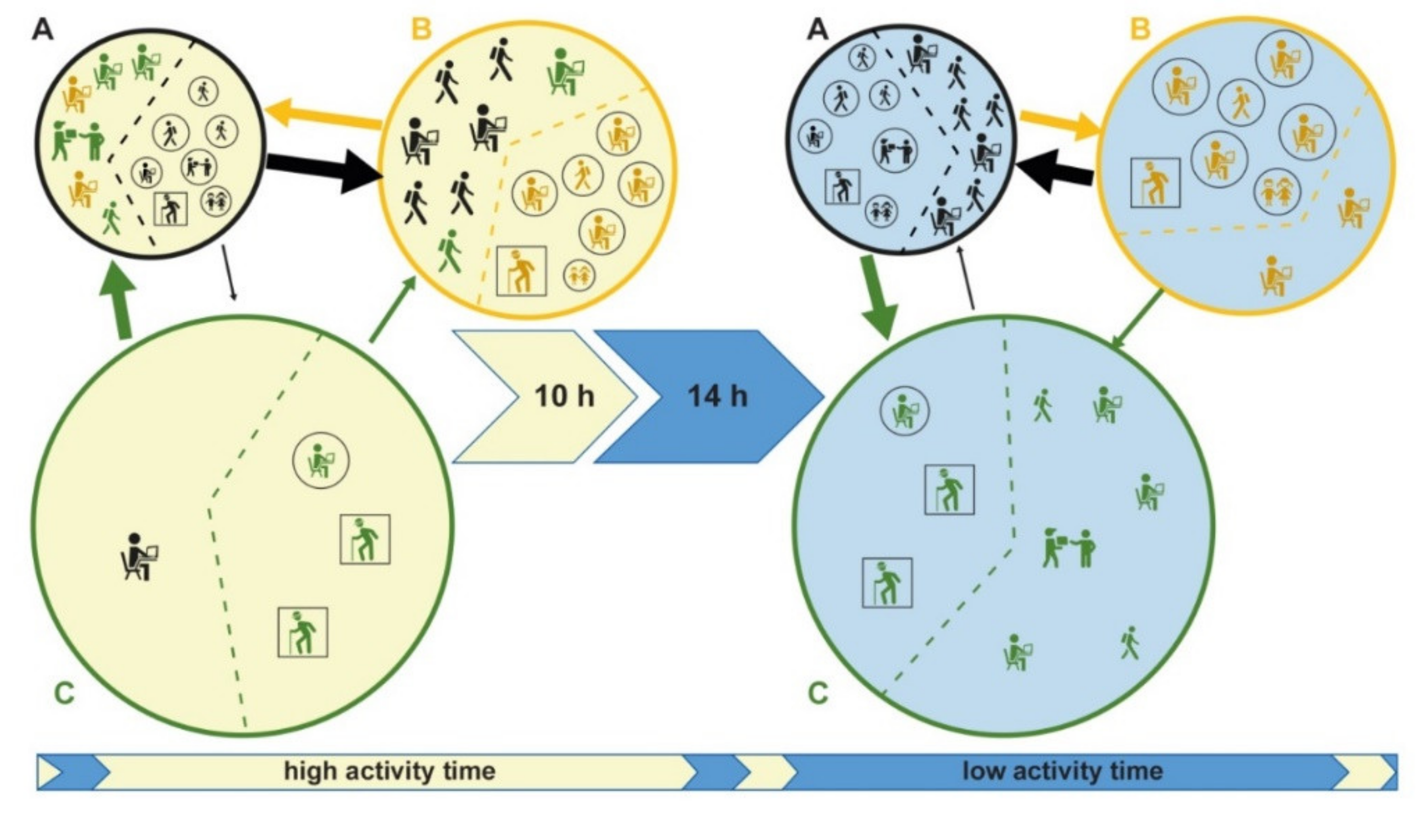 Microorganisms 08 00911 g003