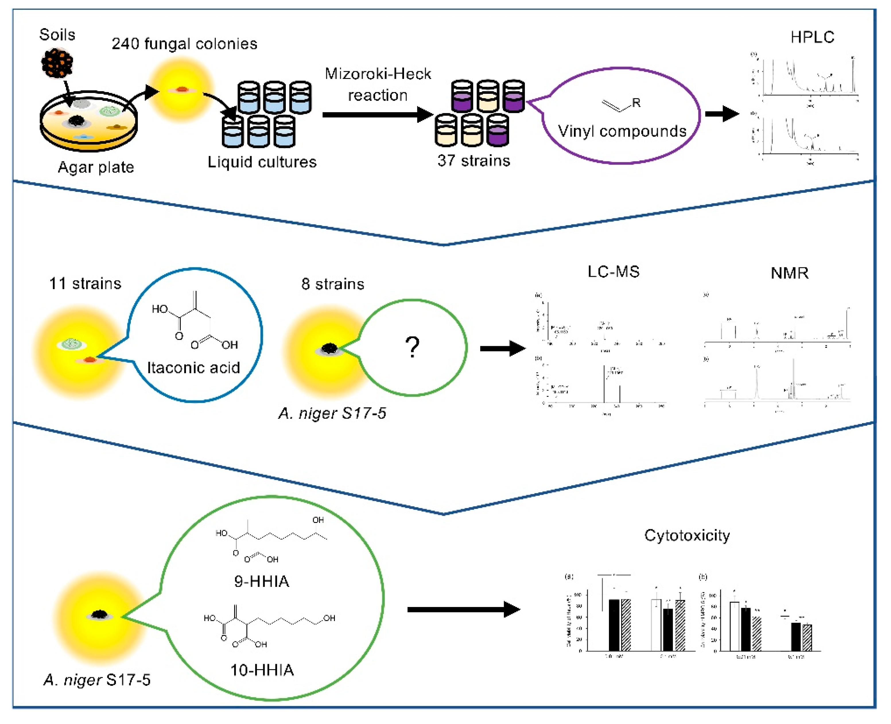 Microorganisms 08 00913 i003