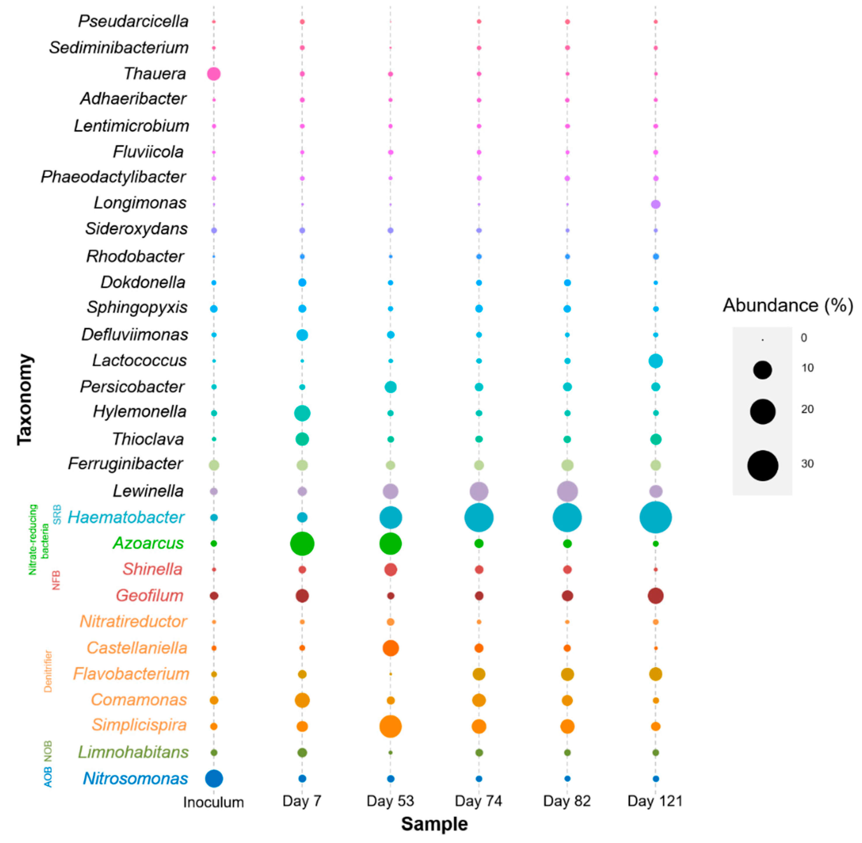 Microorganisms 08 00919 g003