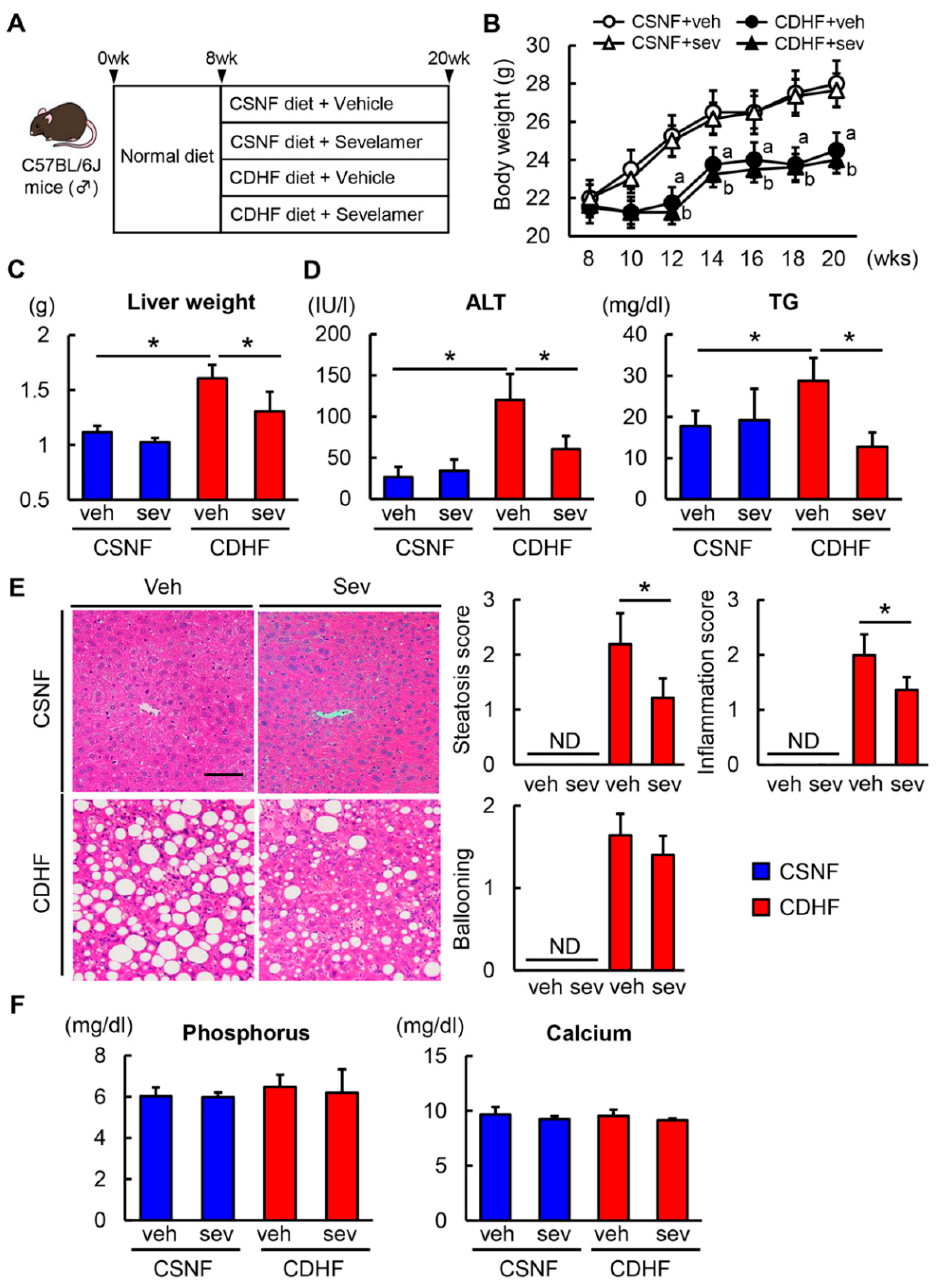 Microorganisms 08 00925 g001