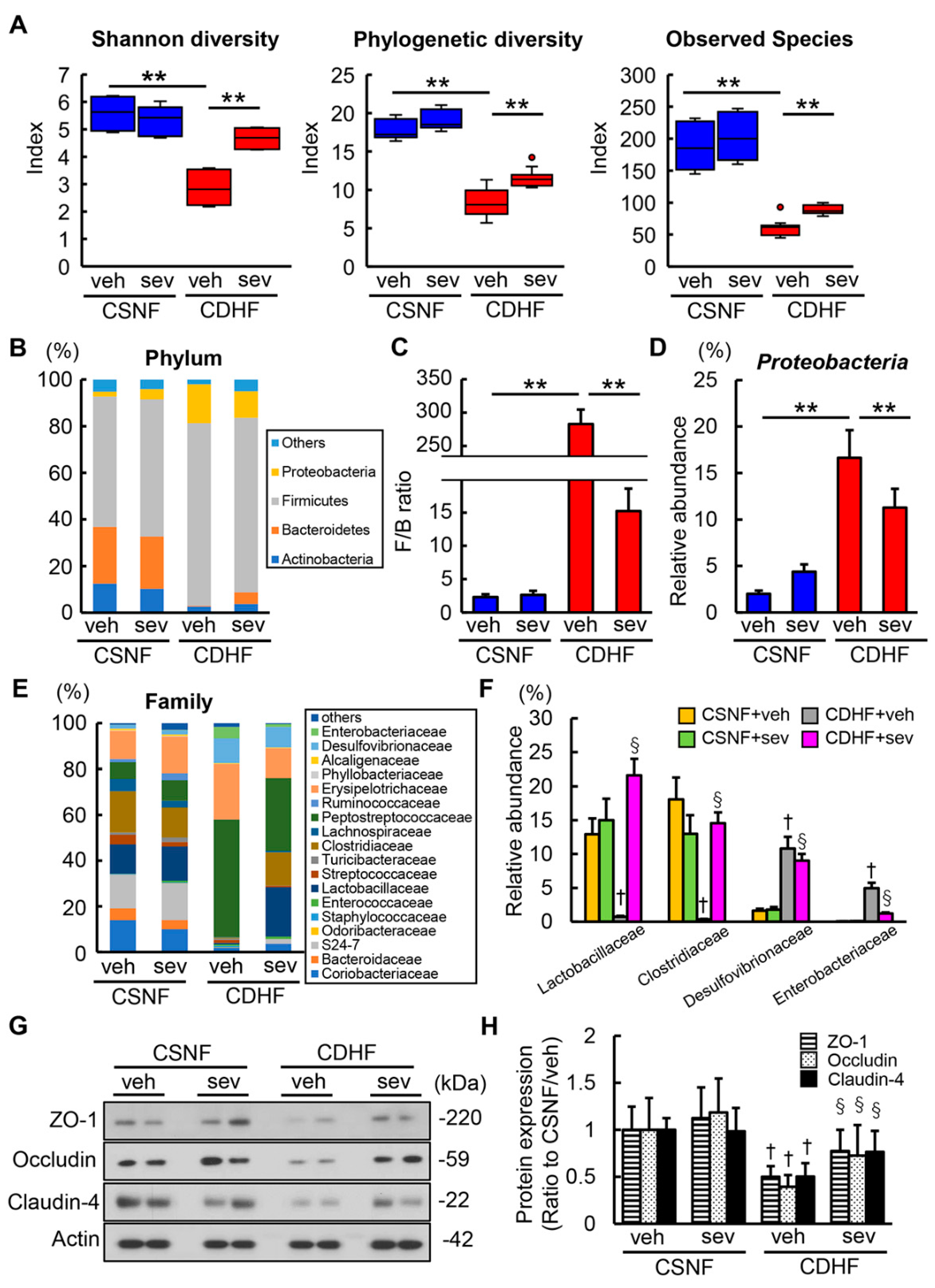 Microorganisms 08 00925 g005