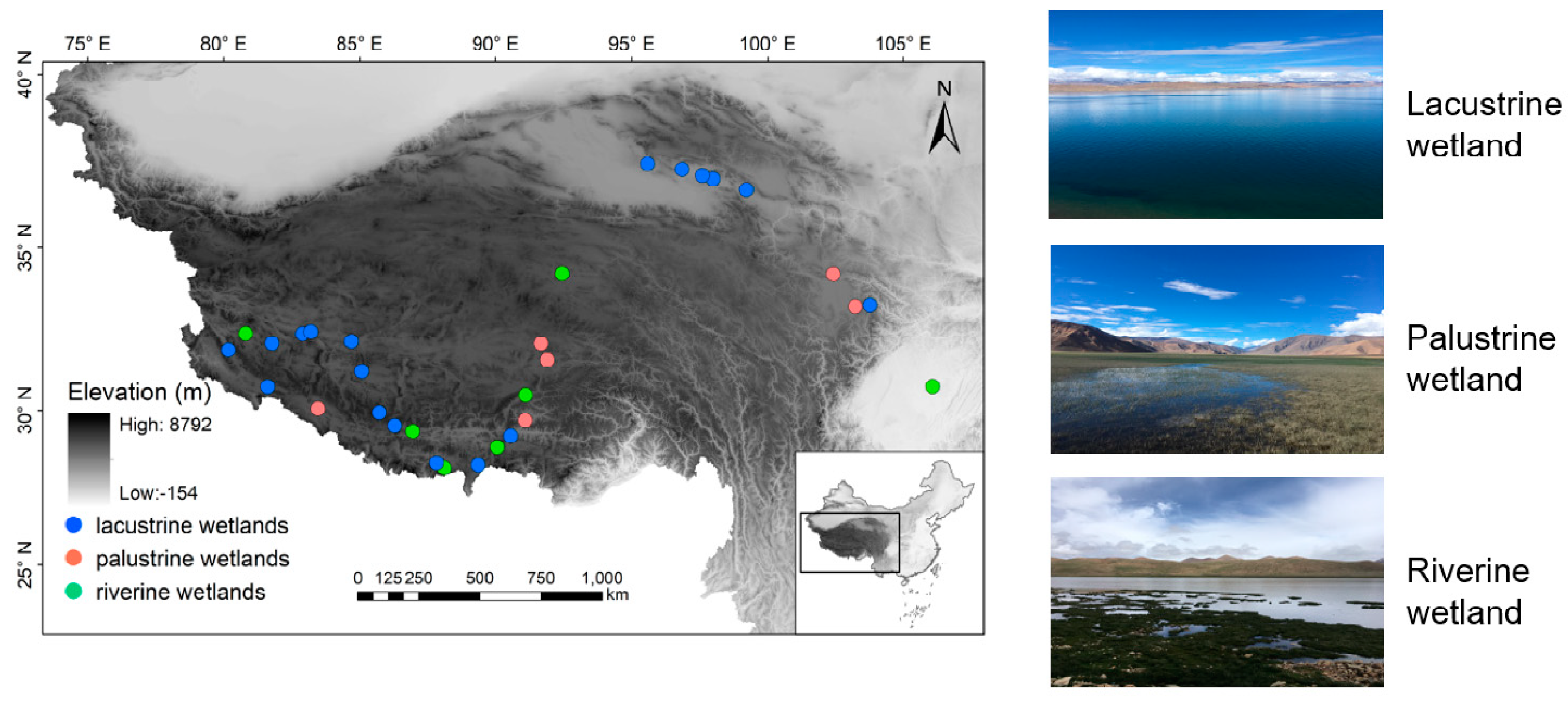 Environmental Factors, More Than Spatial Distance, Explain