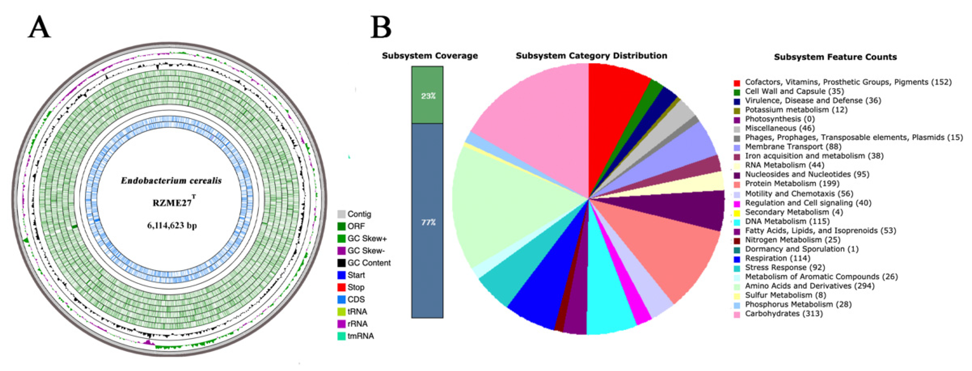 Microorganisms 08 00939 g002 Microorganisms 08 00939 g002