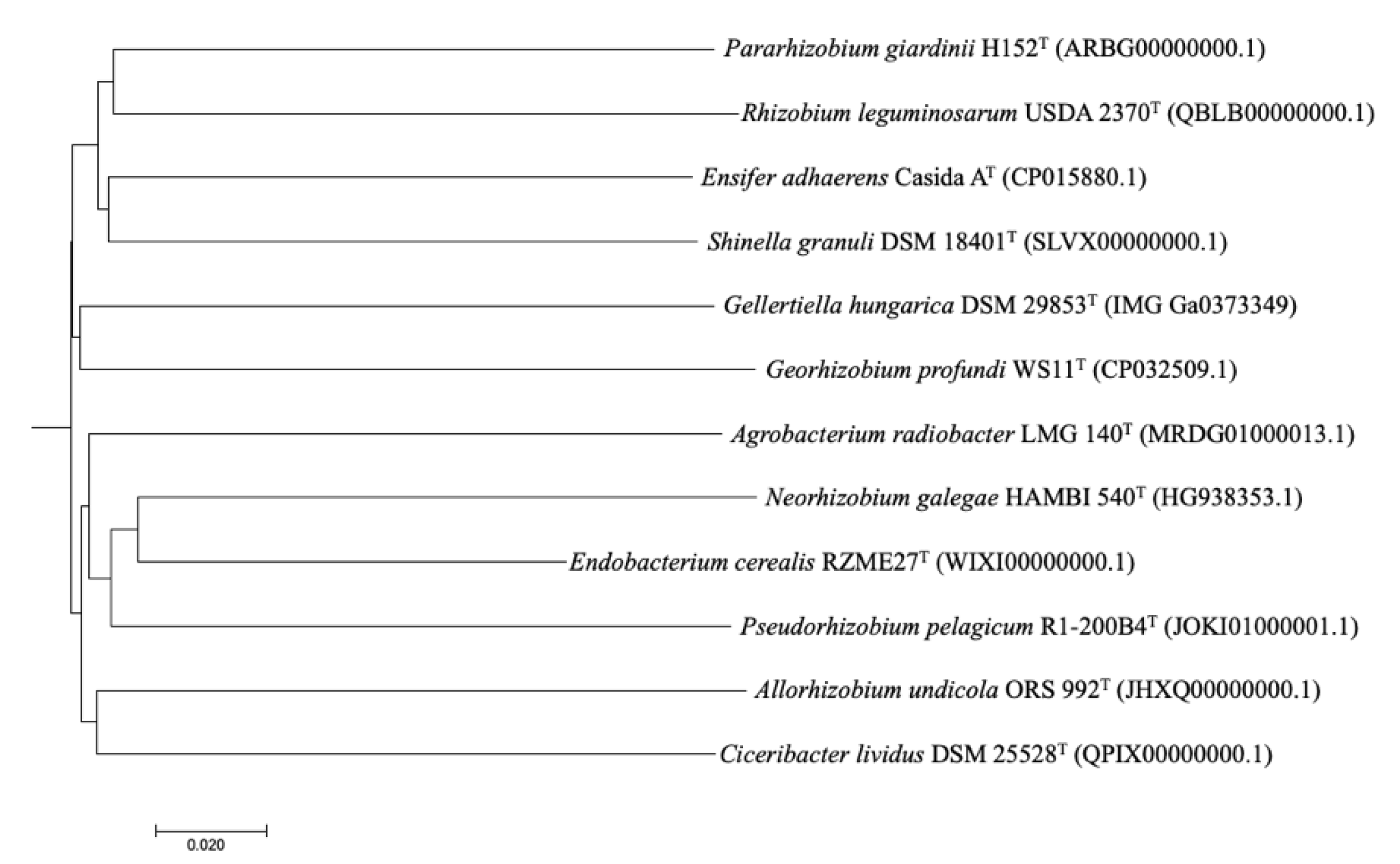 Microorganisms 08 00939 g003 Microorganisms 08 00939 g003