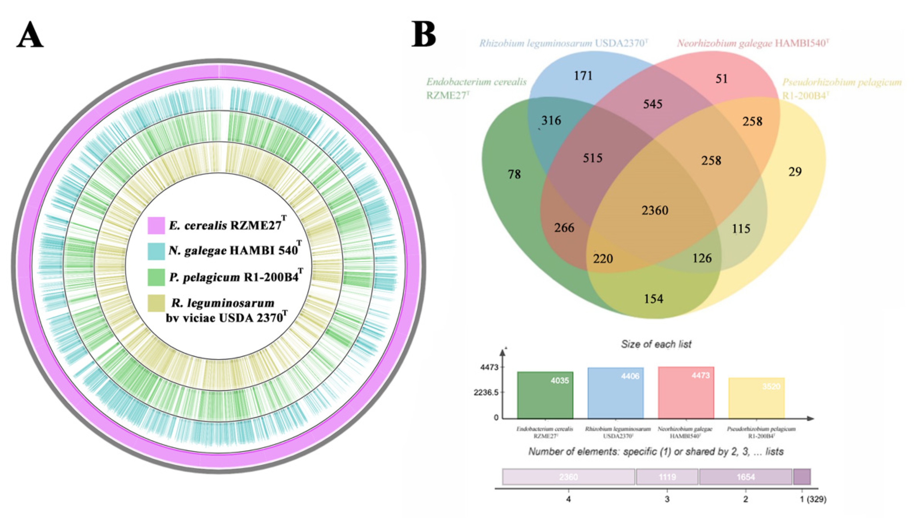 Microorganisms 08 00939 g004 Microorganisms 08 00939 g004