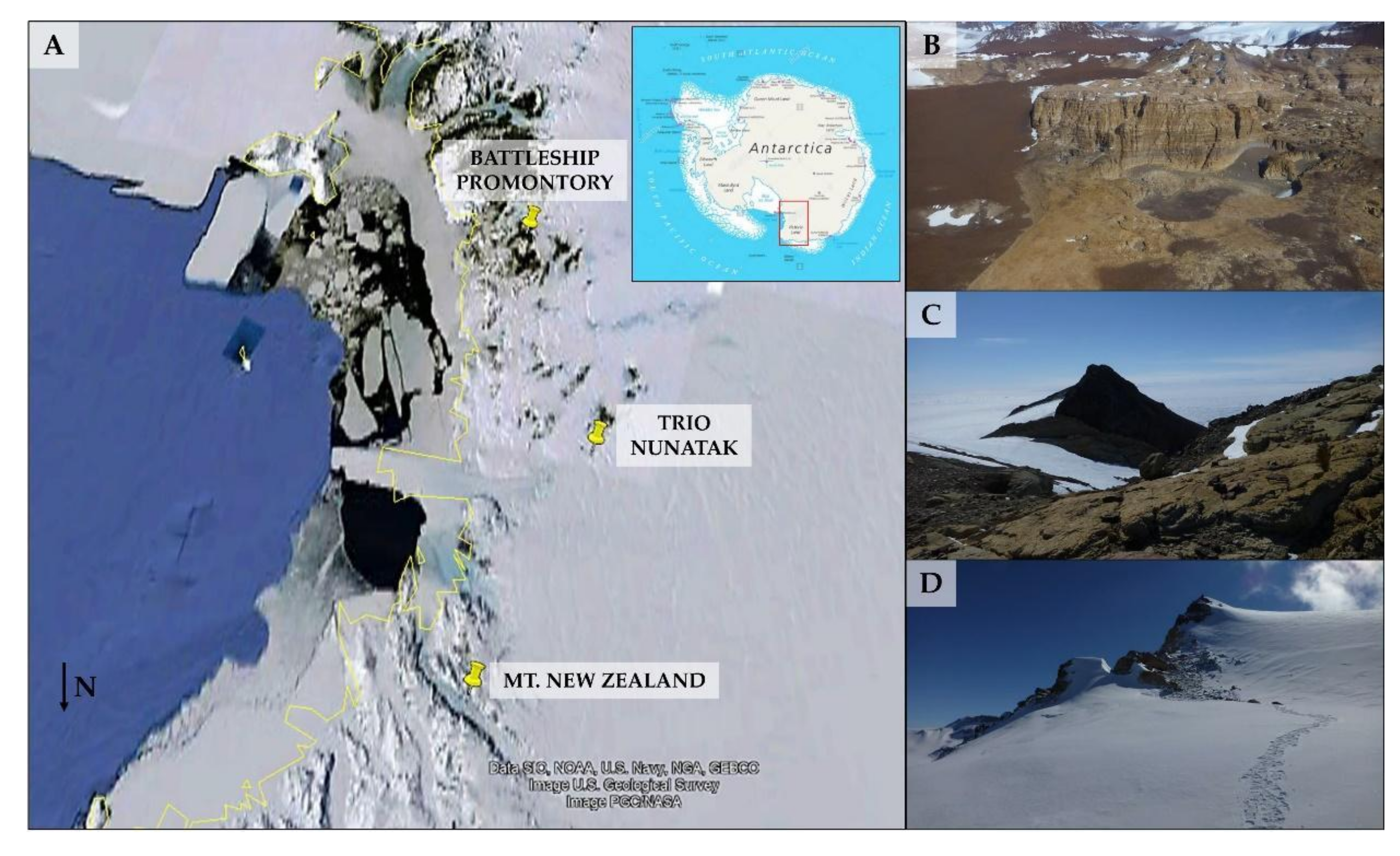 | Free Full-Text | Uncovered Microbial in Antarctic Cryptoendolithic Communities Sampling Three Representative of the Victoria Land | HTML