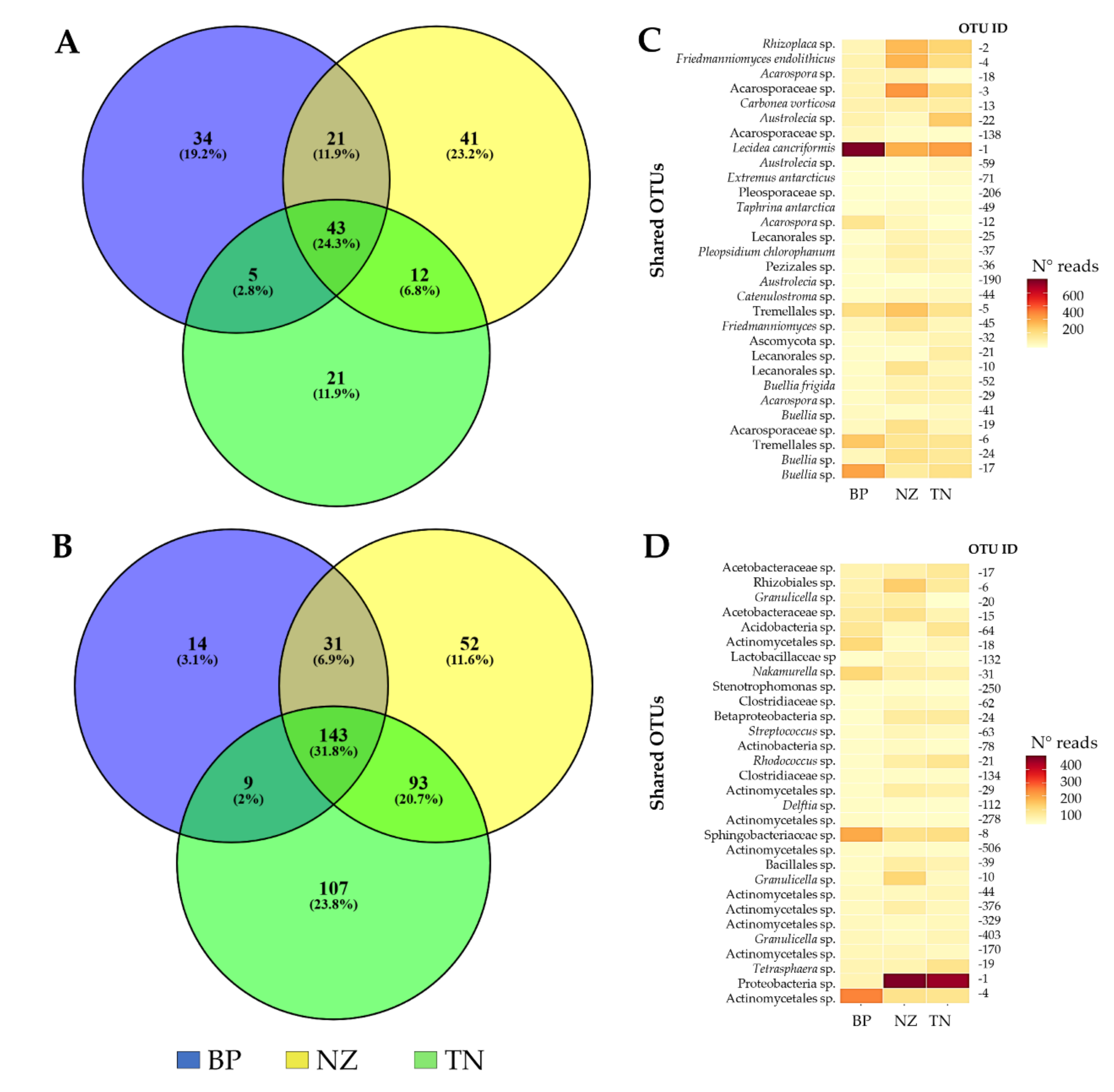 Microorganisms 08 00942 g004