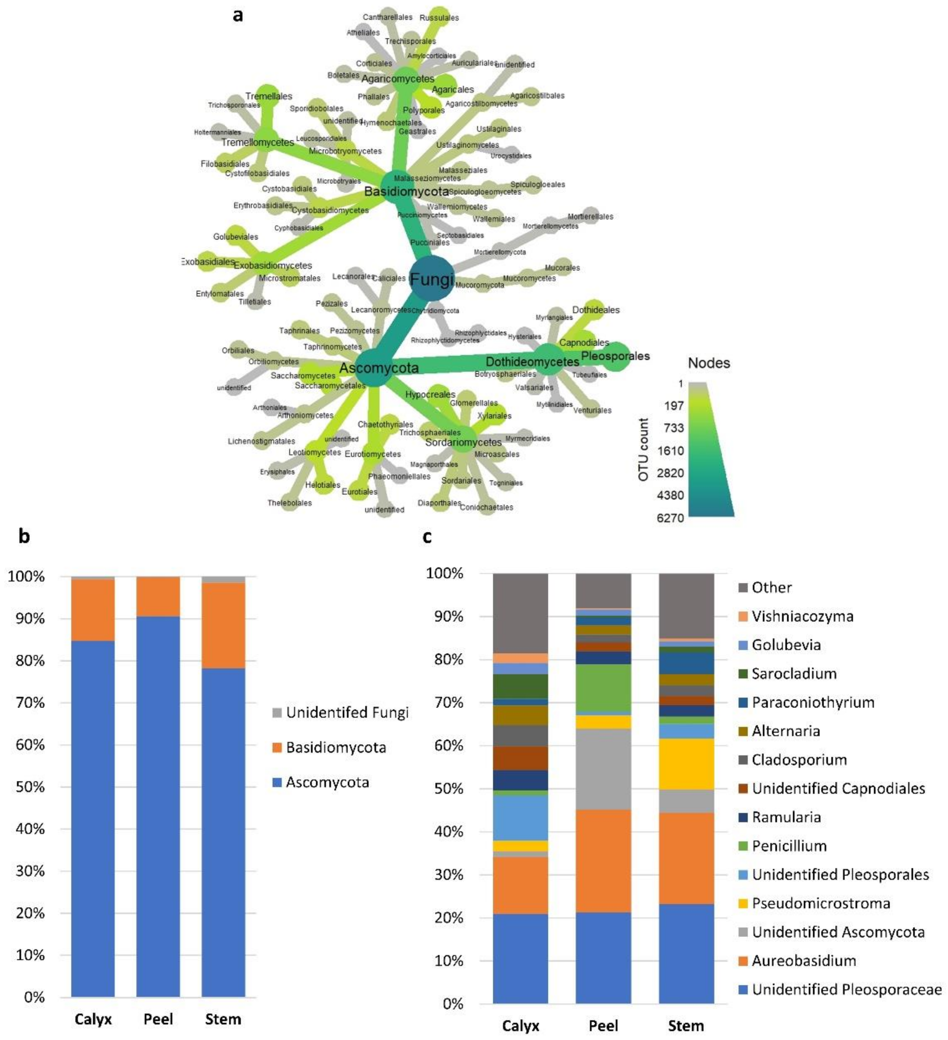 Microorganisms 08 00944 g005 Microorganisms 08 00944 g005