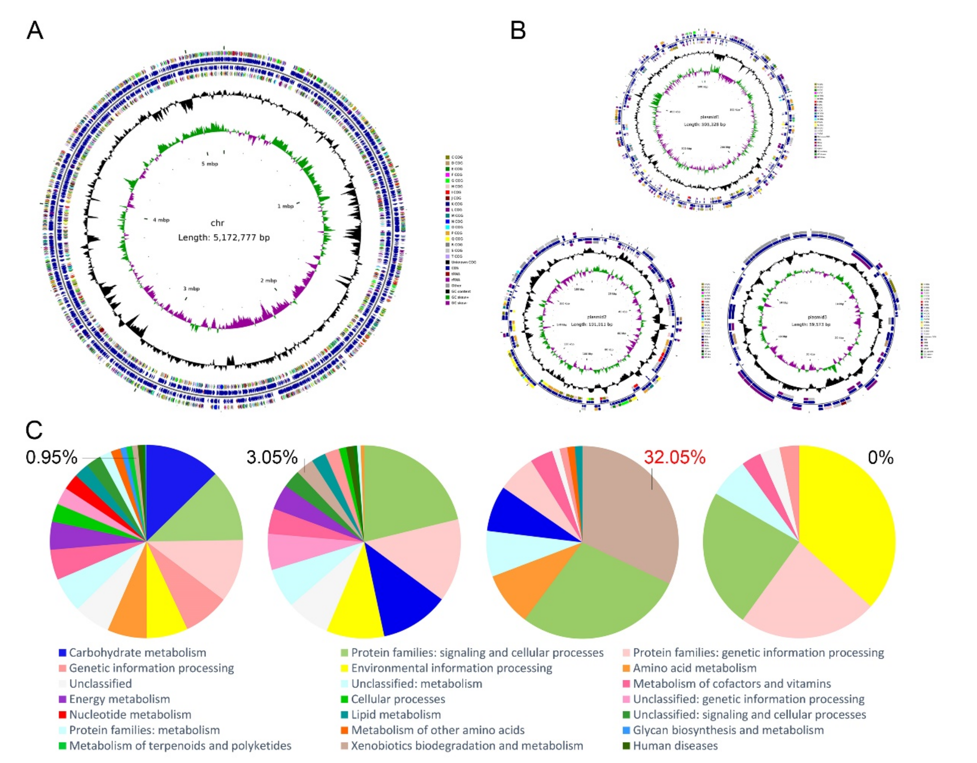 Microorganisms 08 00946 g003 Microorganisms 08 00946 g003