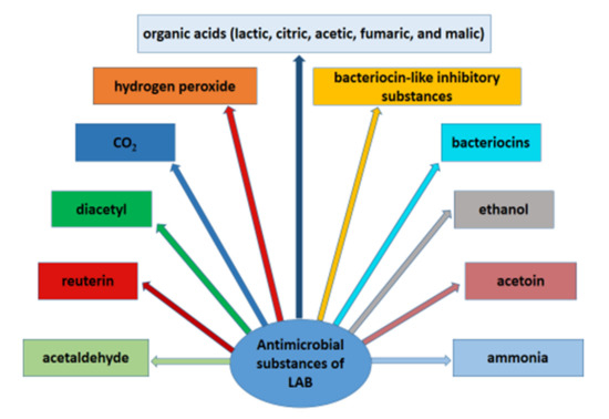 Microorganisms 08 00952 g001 550