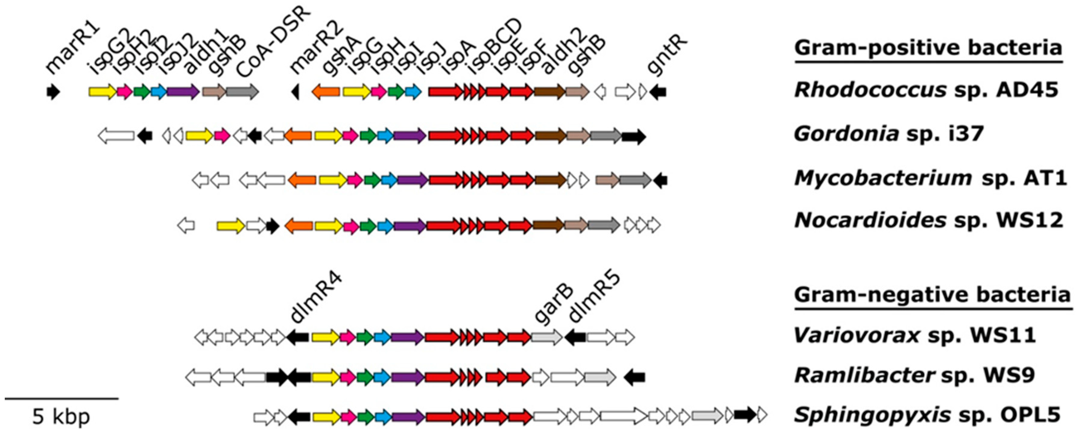 Microorganisms 08 00967 g002
