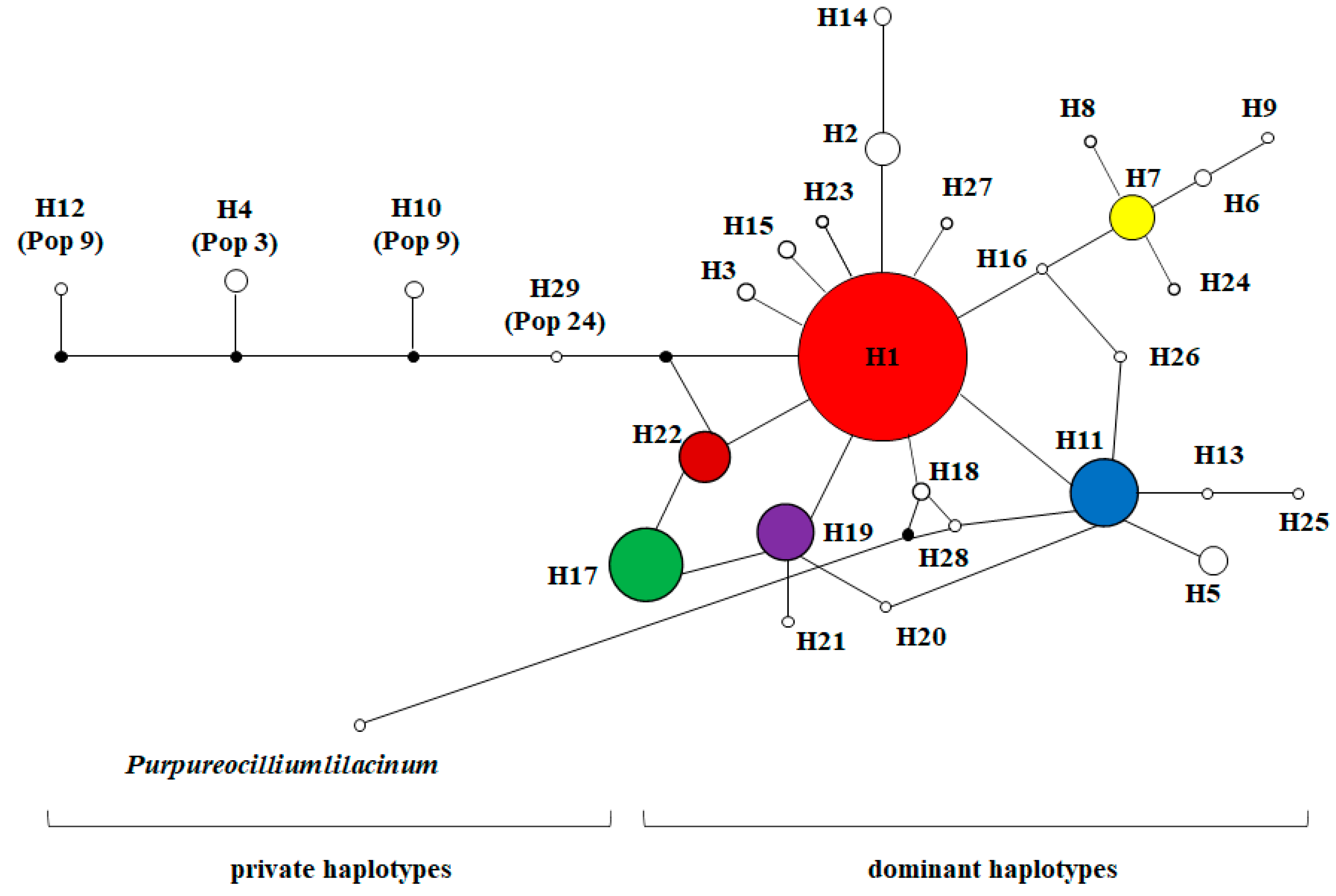 Microorganisms 08 00968 g005