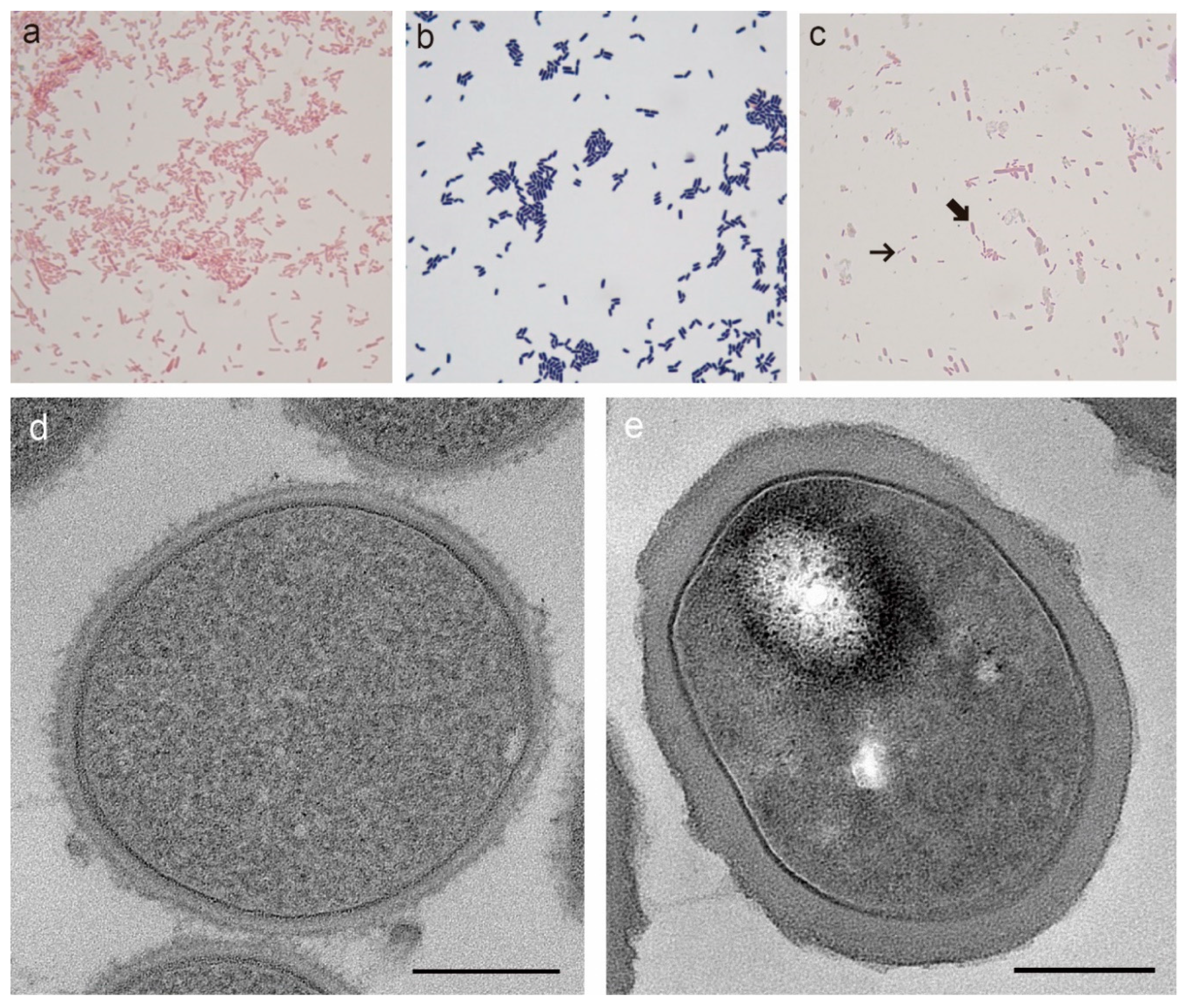 Microorganisms 08 00969 g001 Microorganisms 08 00969 g001