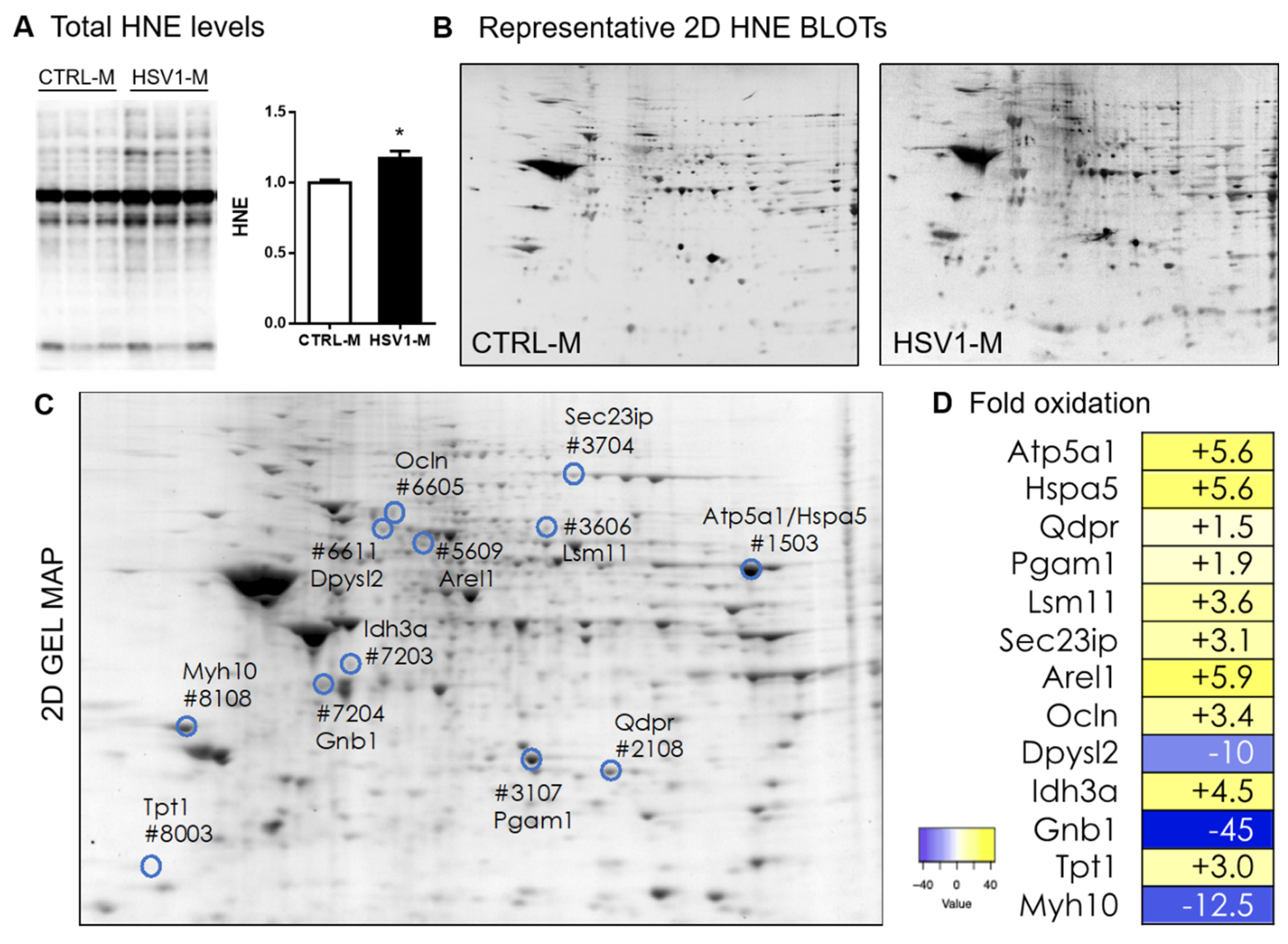 Microorganisms 08 00972 g002 Microorganisms 08 00972 g002