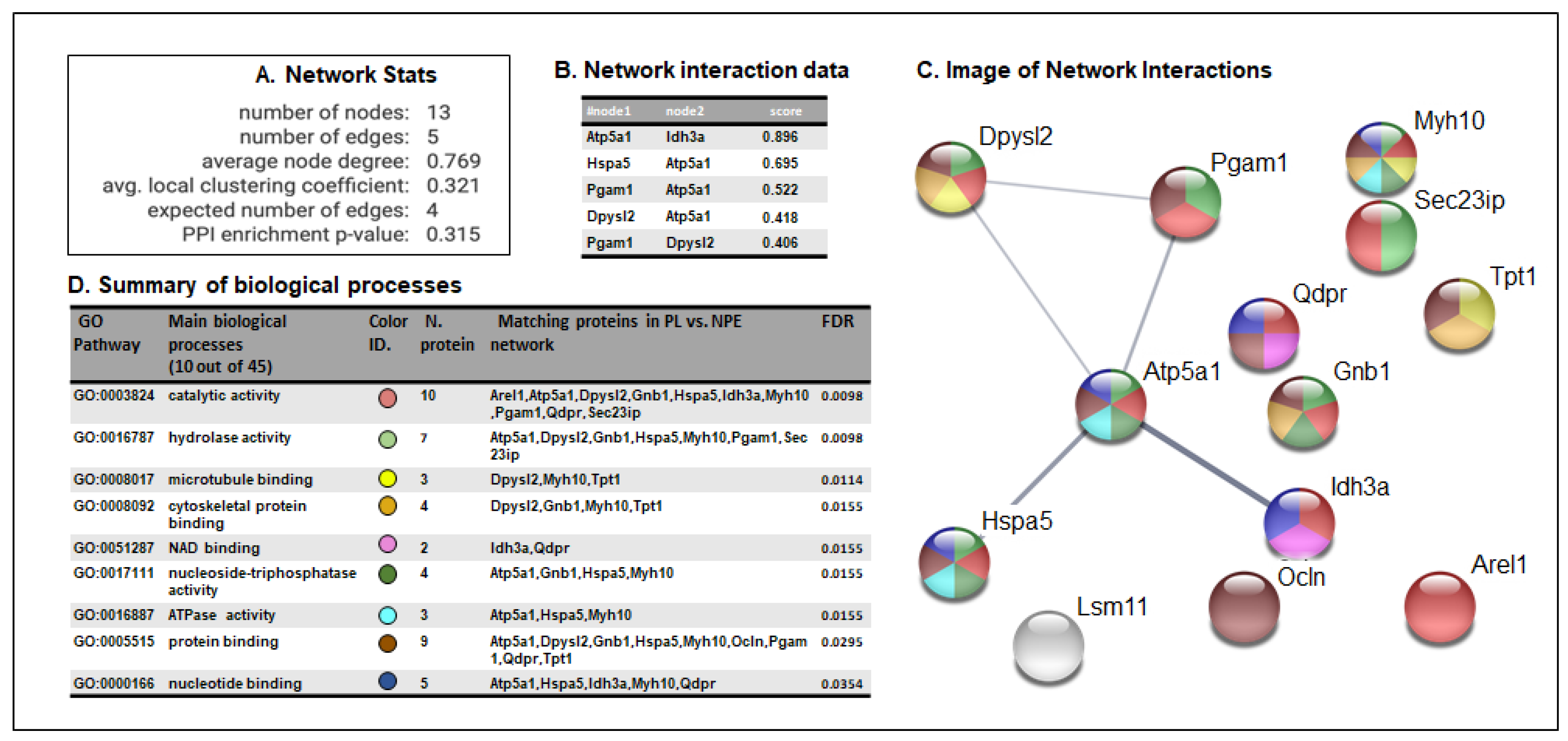 Microorganisms 08 00972 g003 Microorganisms 08 00972 g003