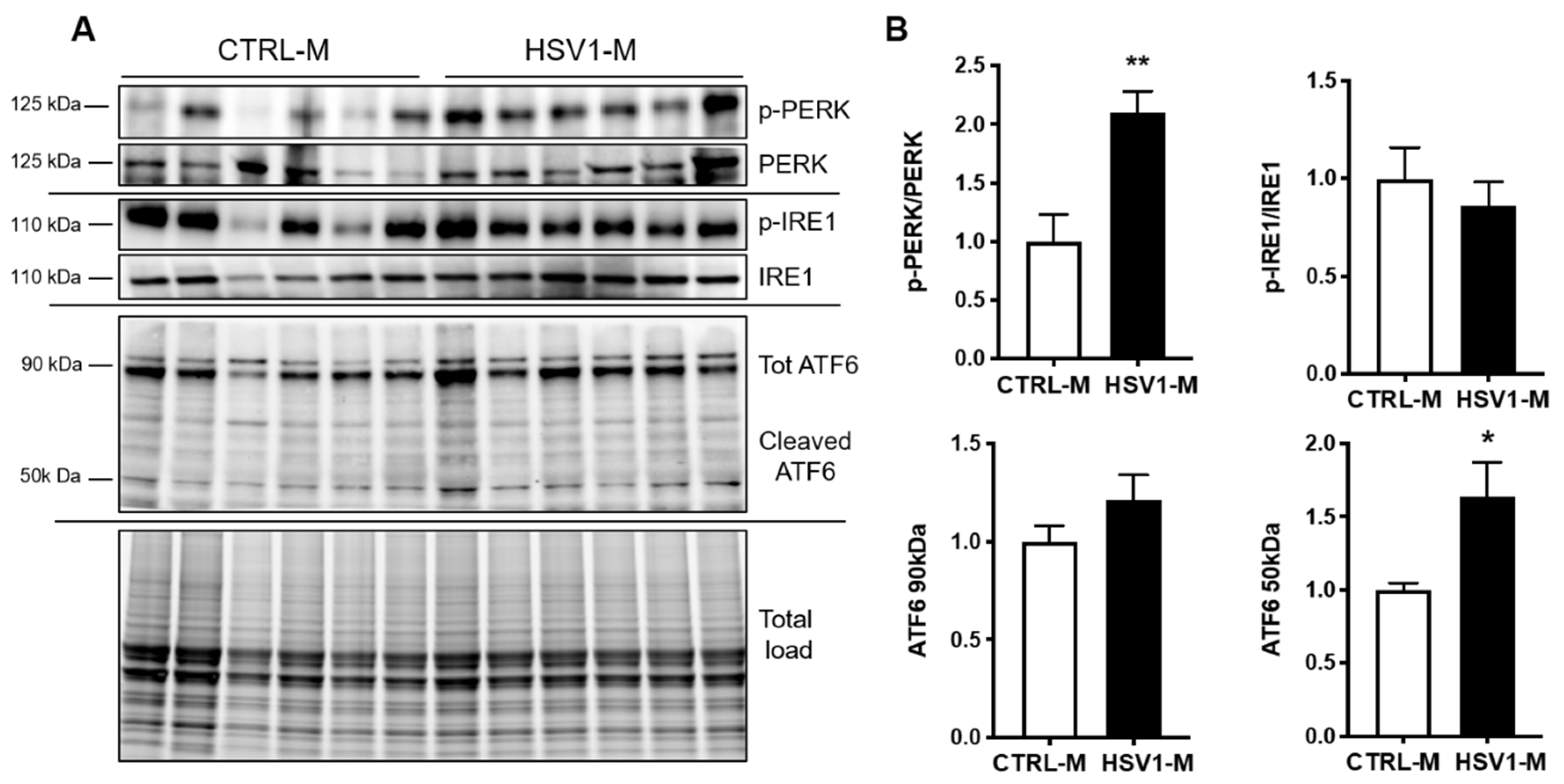 Microorganisms 08 00972 g005 Microorganisms 08 00972 g005
