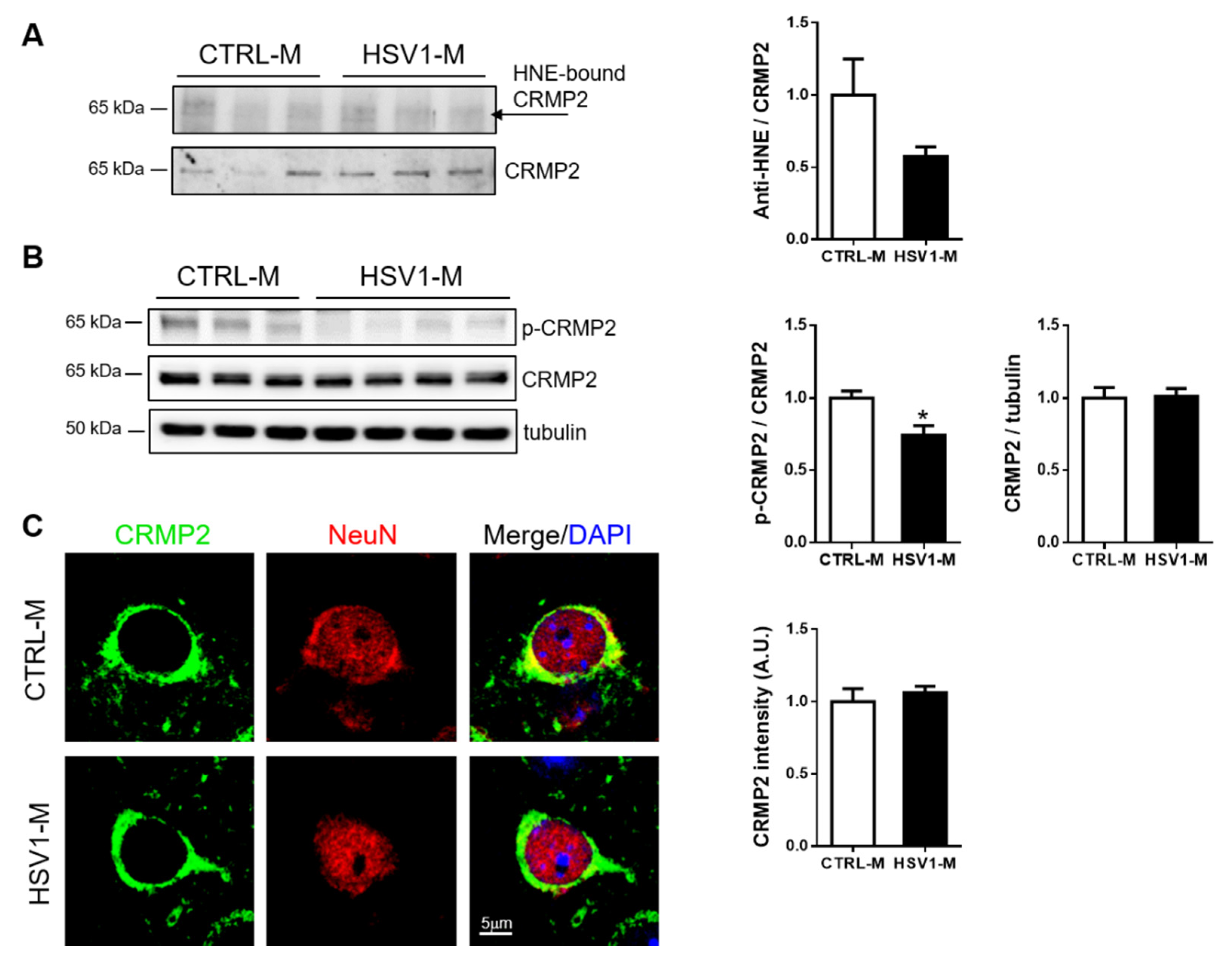 Microorganisms 08 00972 g006 Microorganisms 08 00972 g006