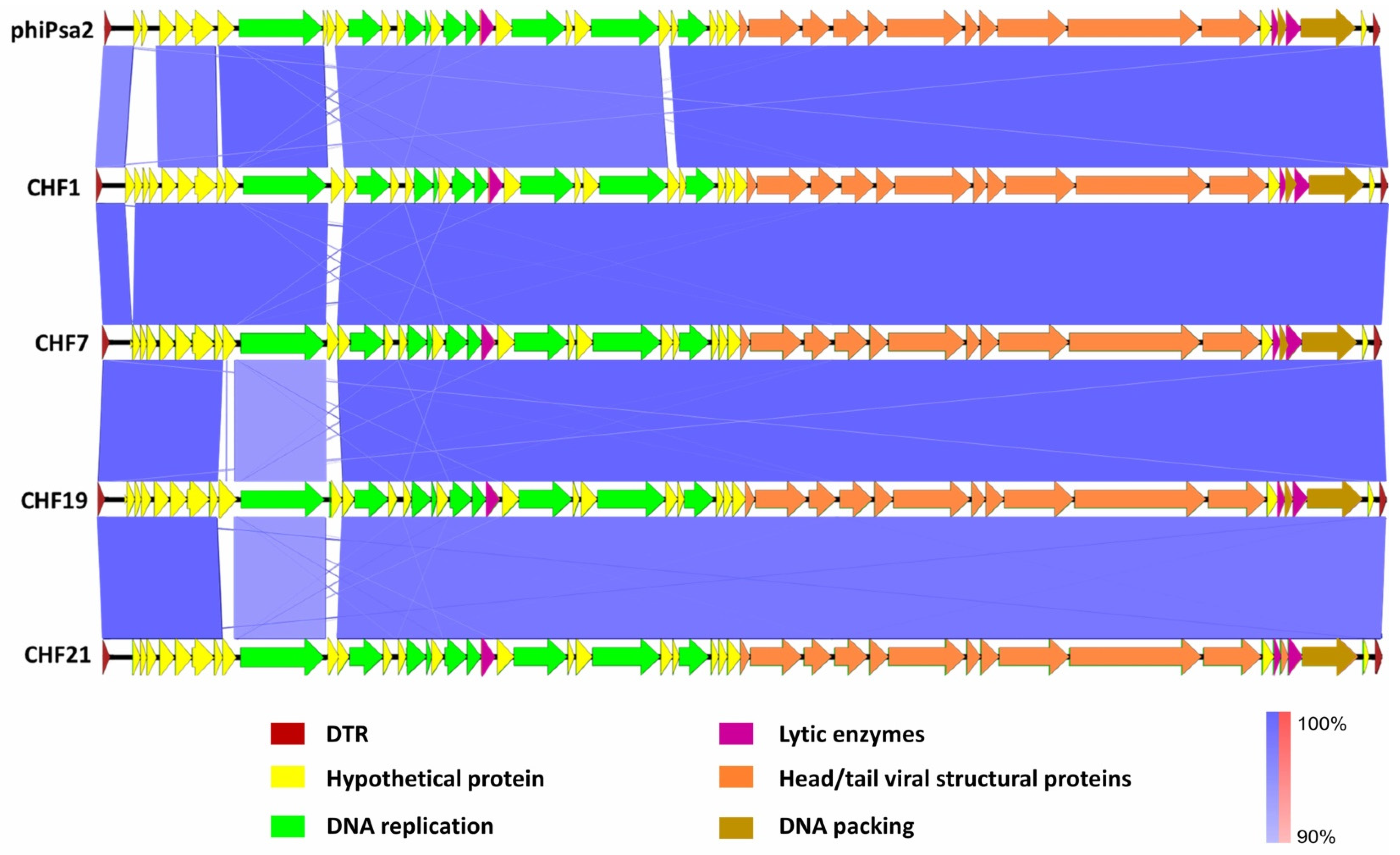Microorganisms 08 00974 g003 Microorganisms 08 00974 g003