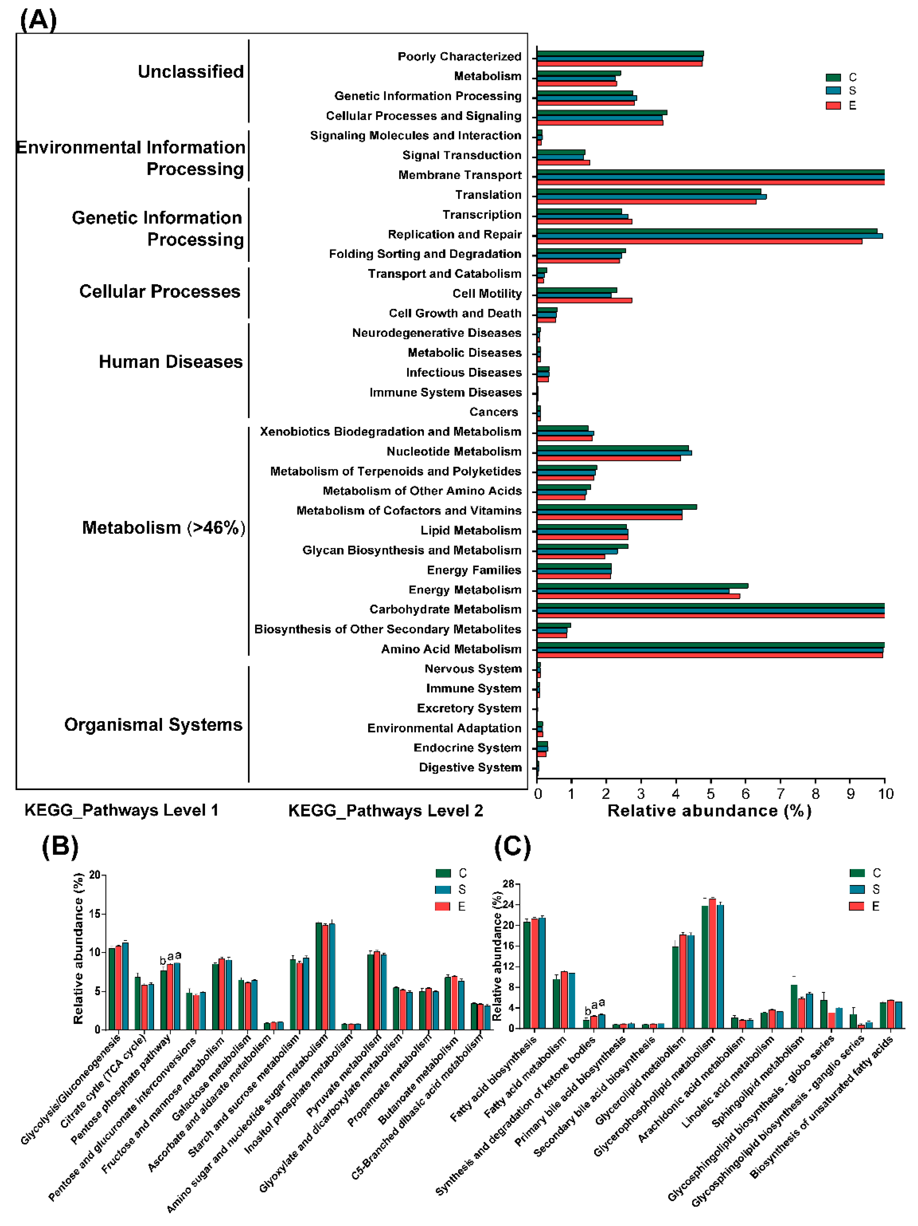 Microorganisms 08 00981 g005 Microorganisms 08 00981 g005