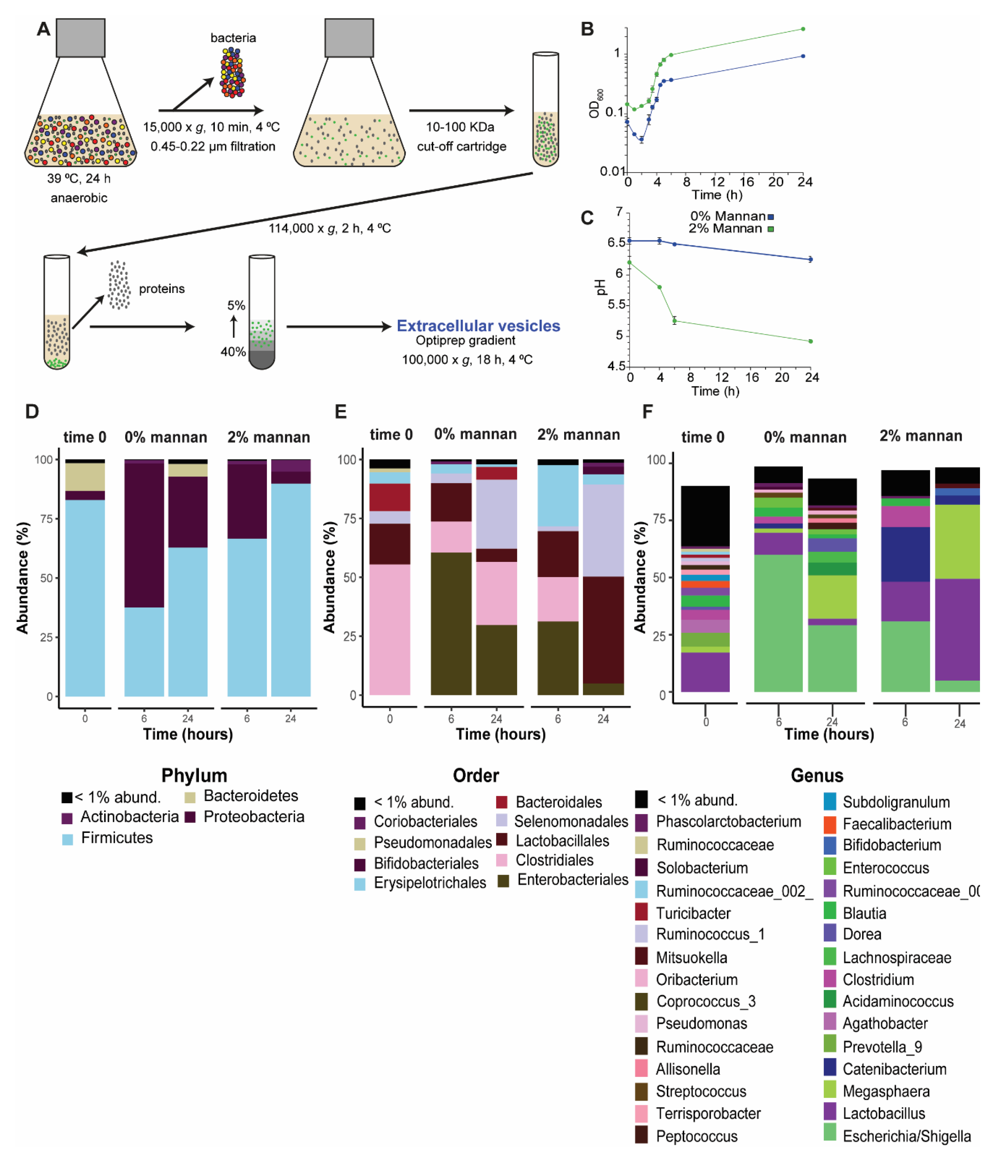 Microorganisms 08 00983 g001 Microorganisms 08 00983 g001