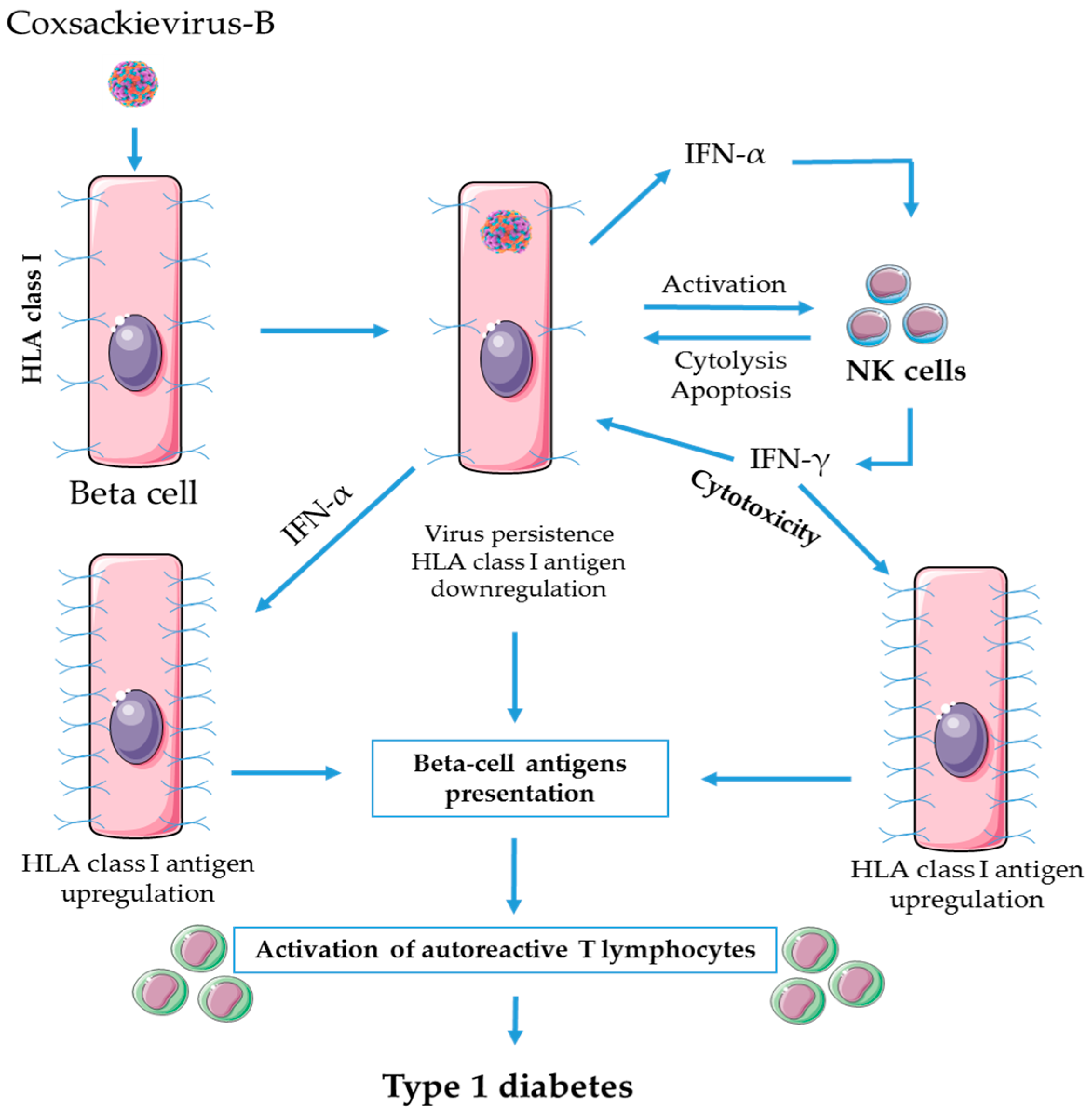 Microorganisms 08 00989 g002
