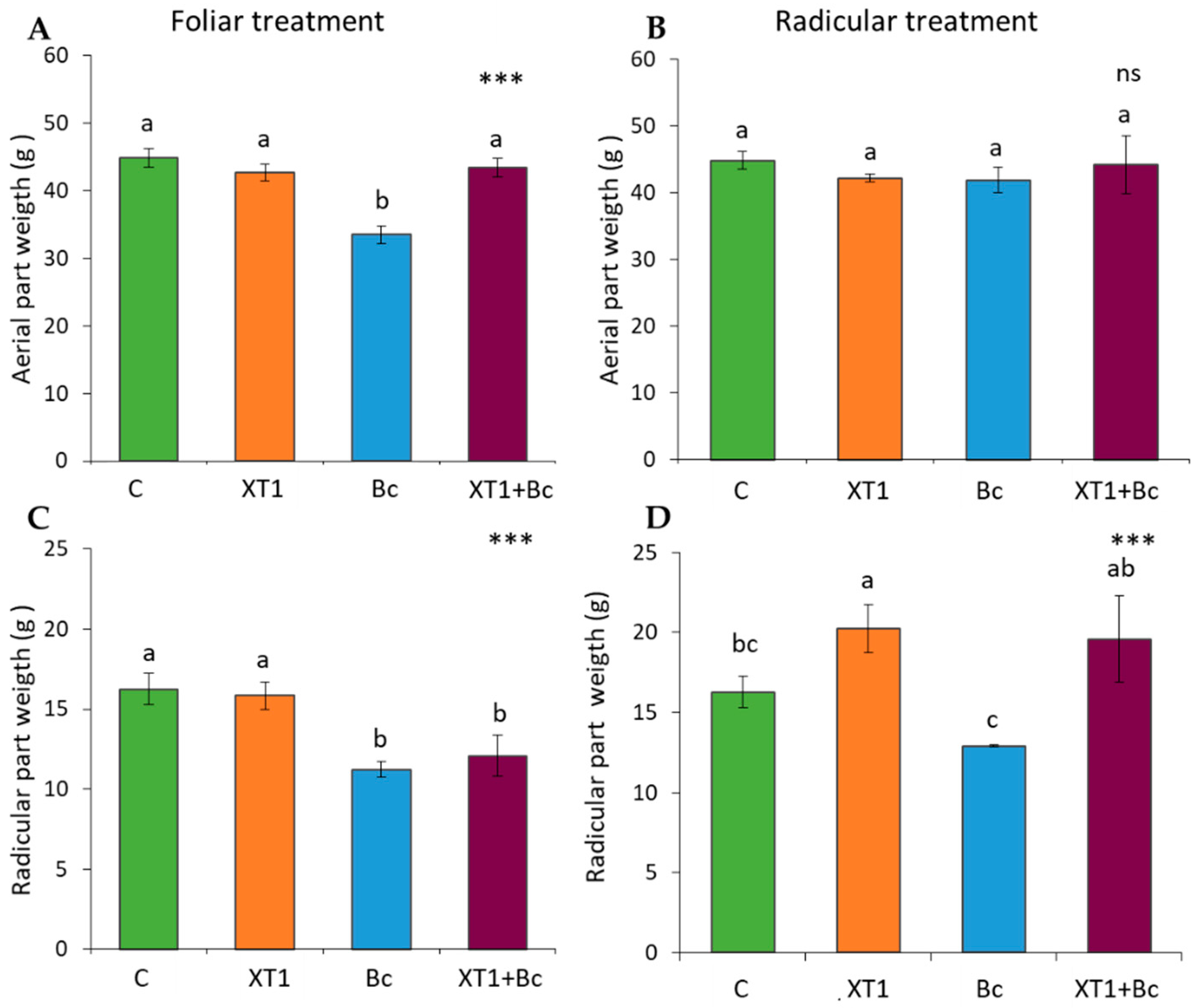 Microorganisms 08 00992 g001 Microorganisms 08 00992 g001