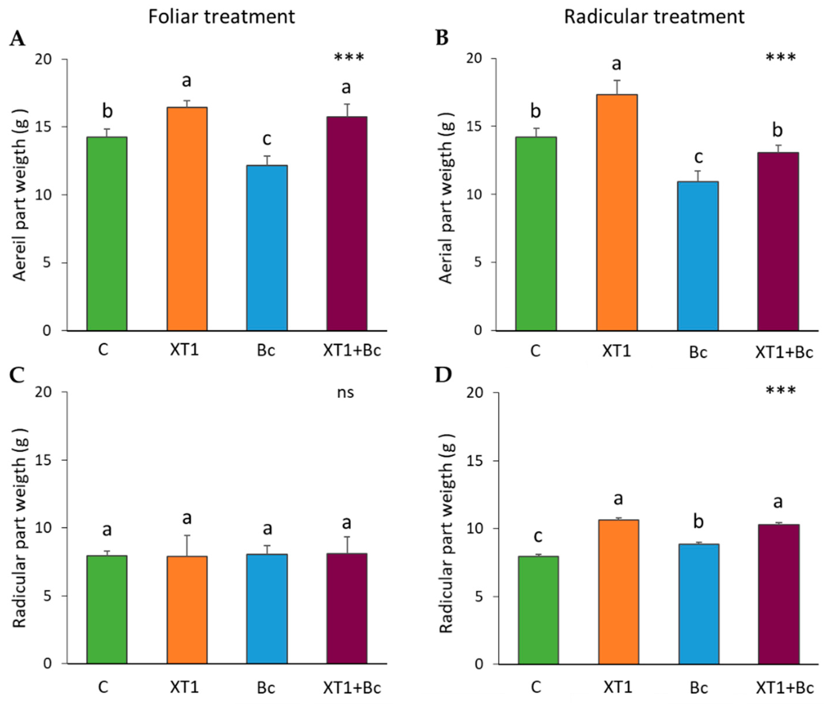 Microorganisms 08 00992 g002 Microorganisms 08 00992 g002
