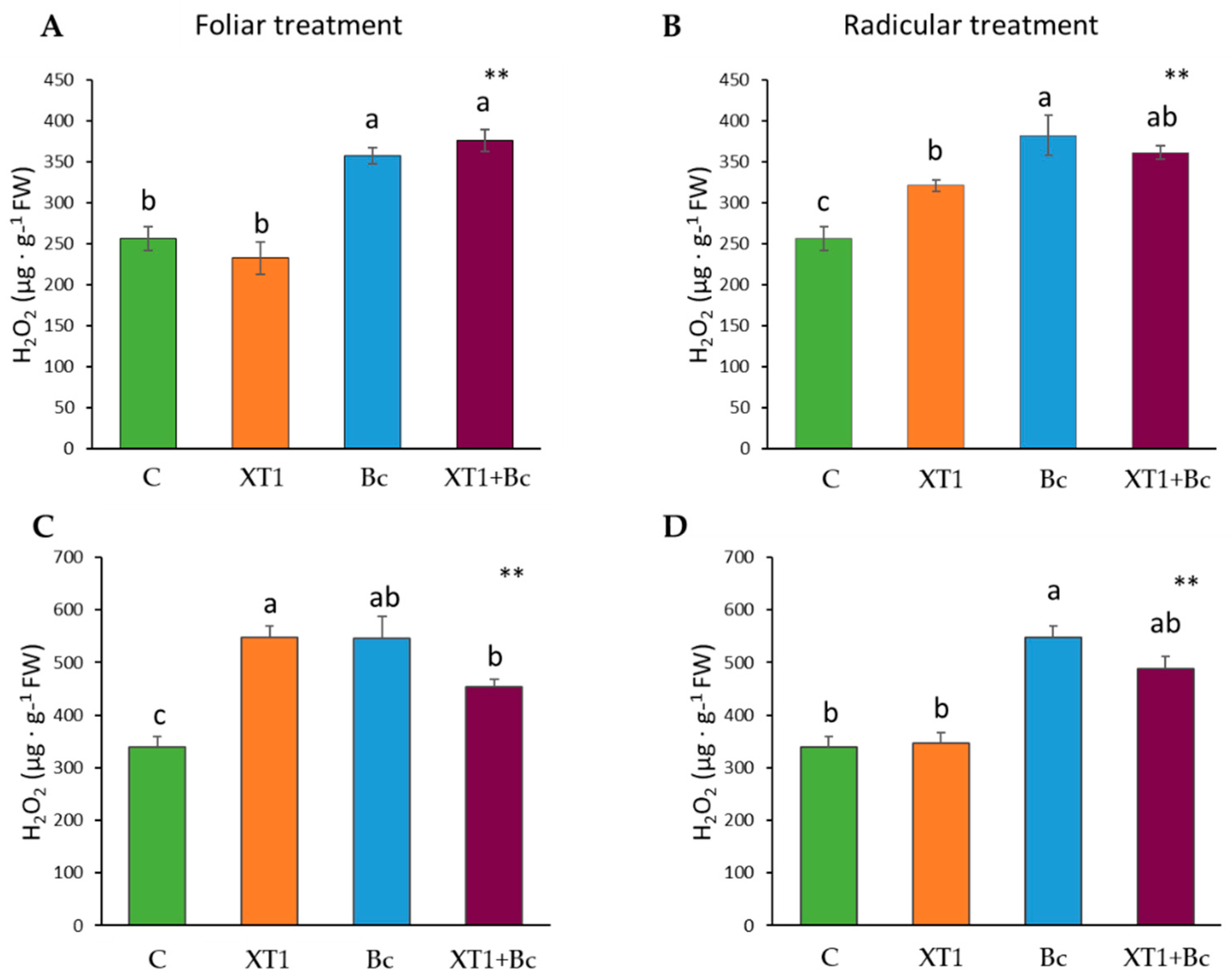 Microorganisms 08 00992 g004 Microorganisms 08 00992 g004