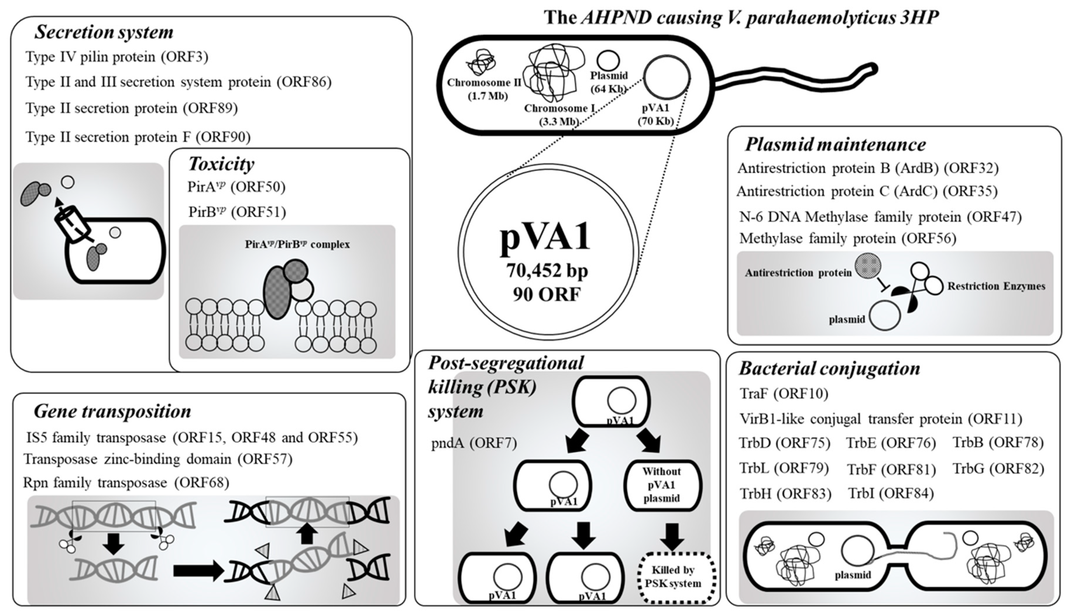 Microorganisms 08 00996 g001