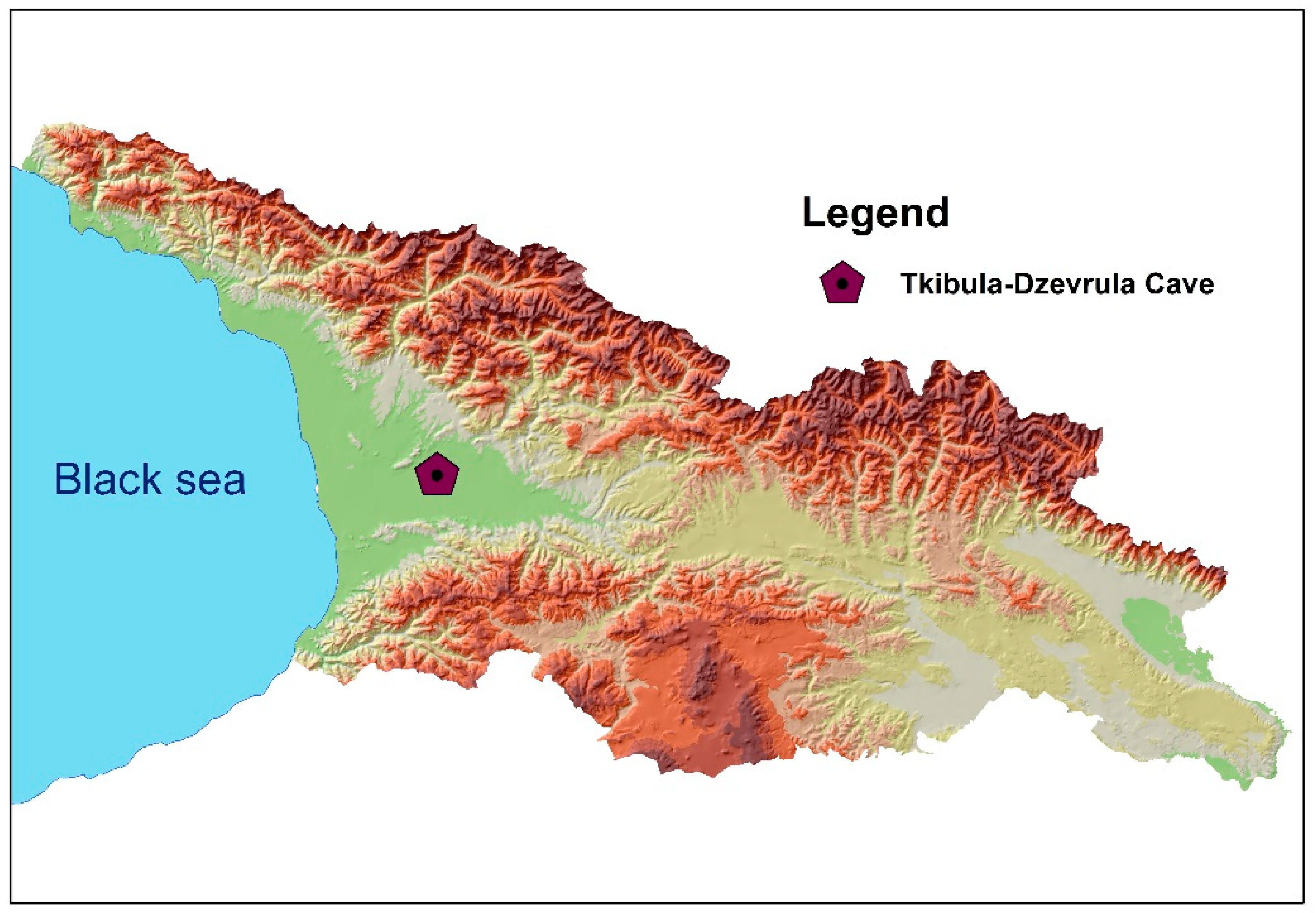Microorganisms 08 01000 g001 Microorganisms 08 01000 g001