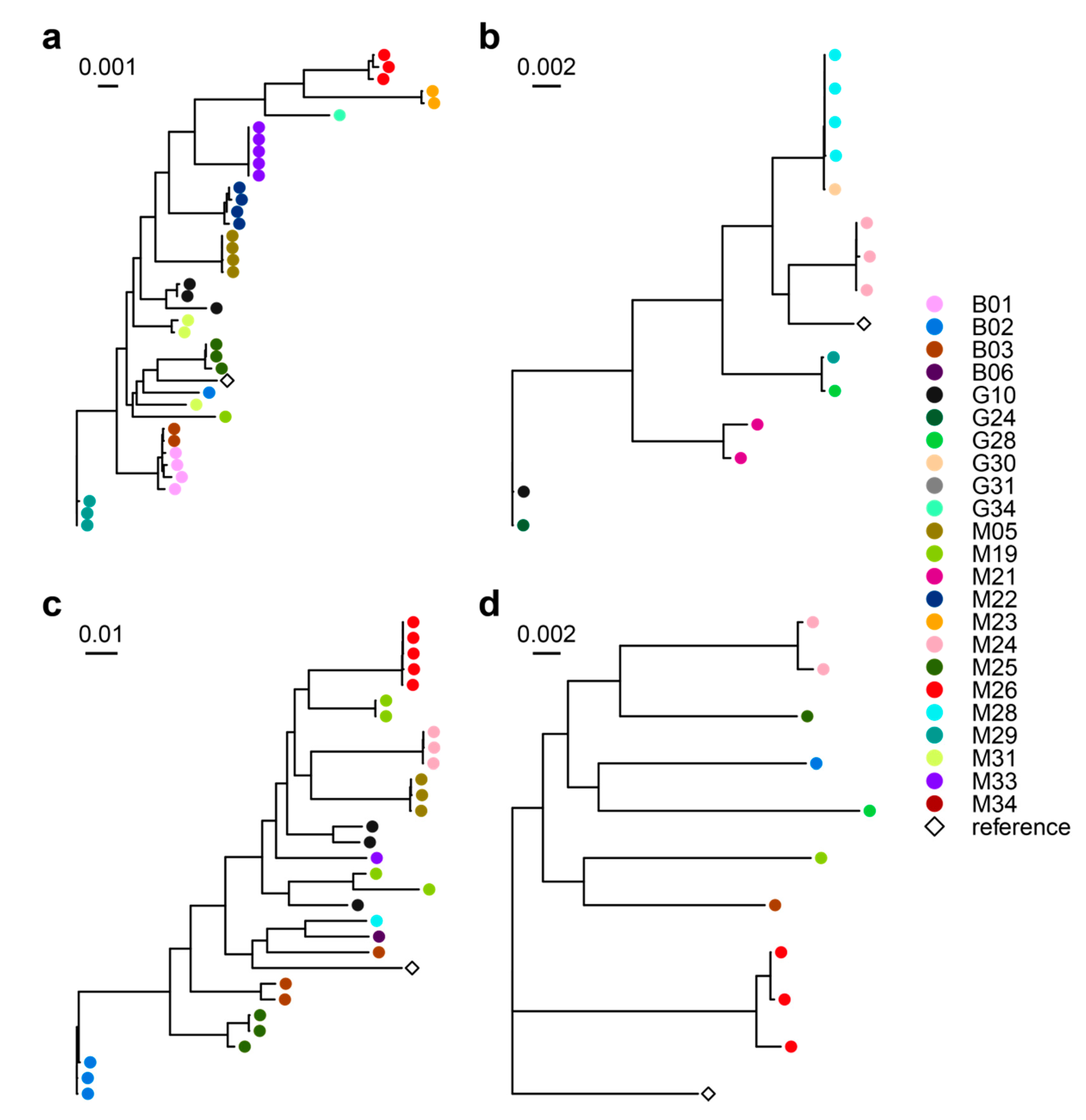 Microorganisms 08 01003 g002