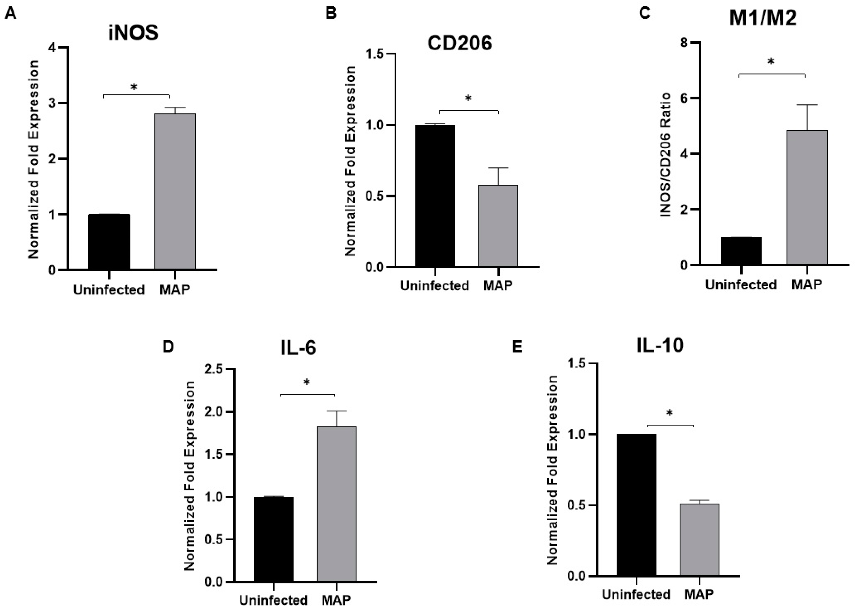 Microorganisms 08 01006 g006 Microorganisms 08 01006 g006