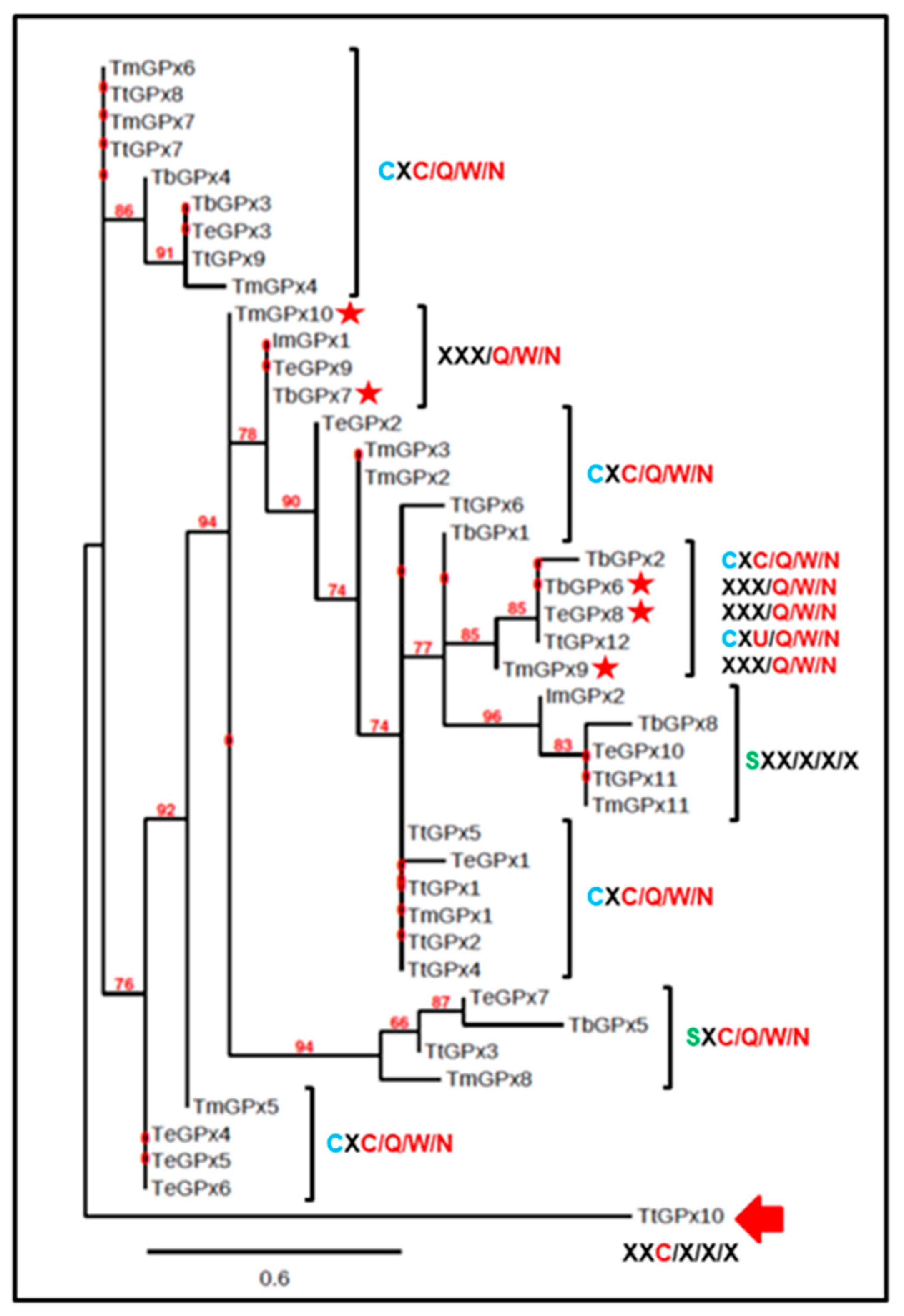 Microorganisms 08 01008 g002 Microorganisms 08 01008 g002