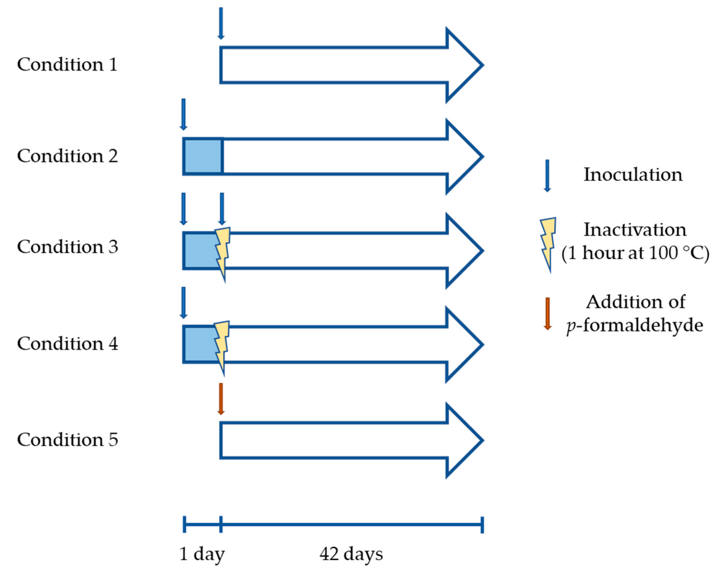 Microorganisms 08 01009 g001