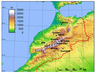 Microorganisms 08 01010 g001